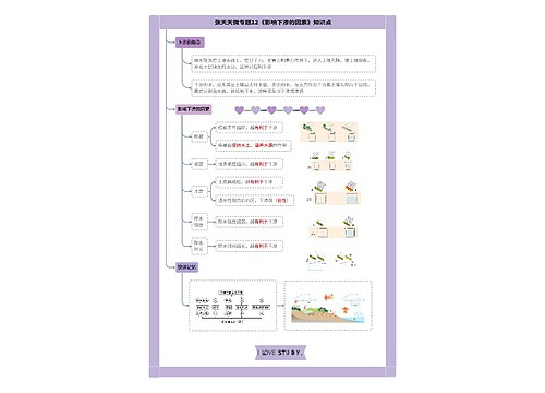 张天天微专题12《影响下渗的因素》知识点思维导图