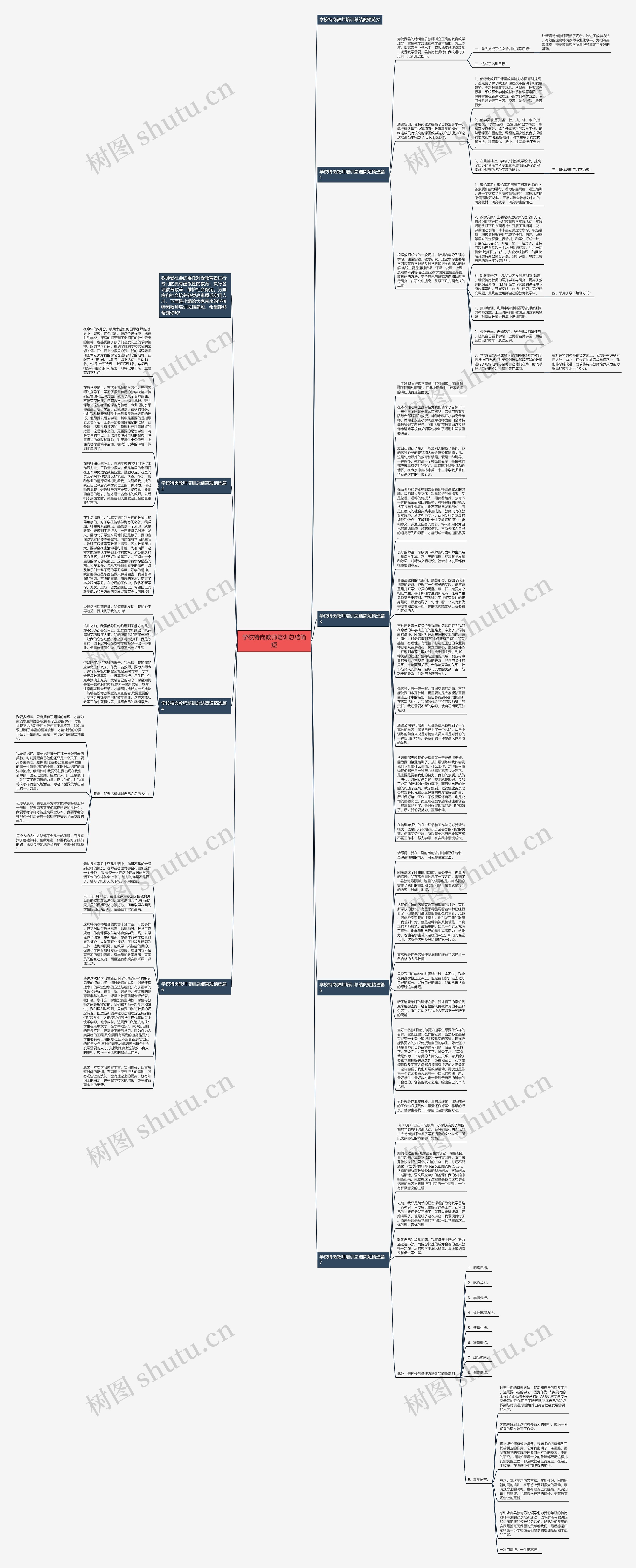 学校特岗教师培训总结简短思维导图