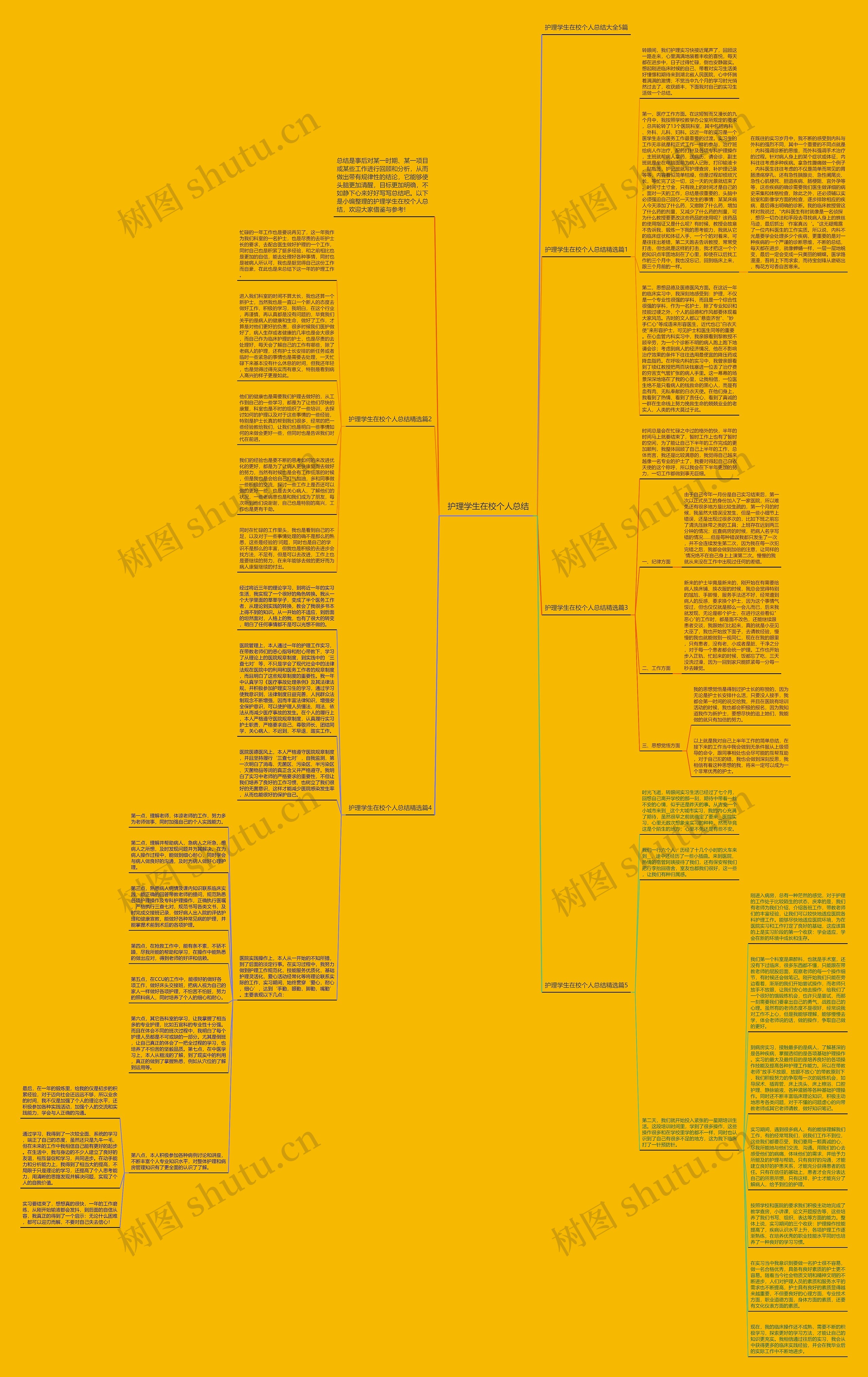 护理学生在校个人总结思维导图