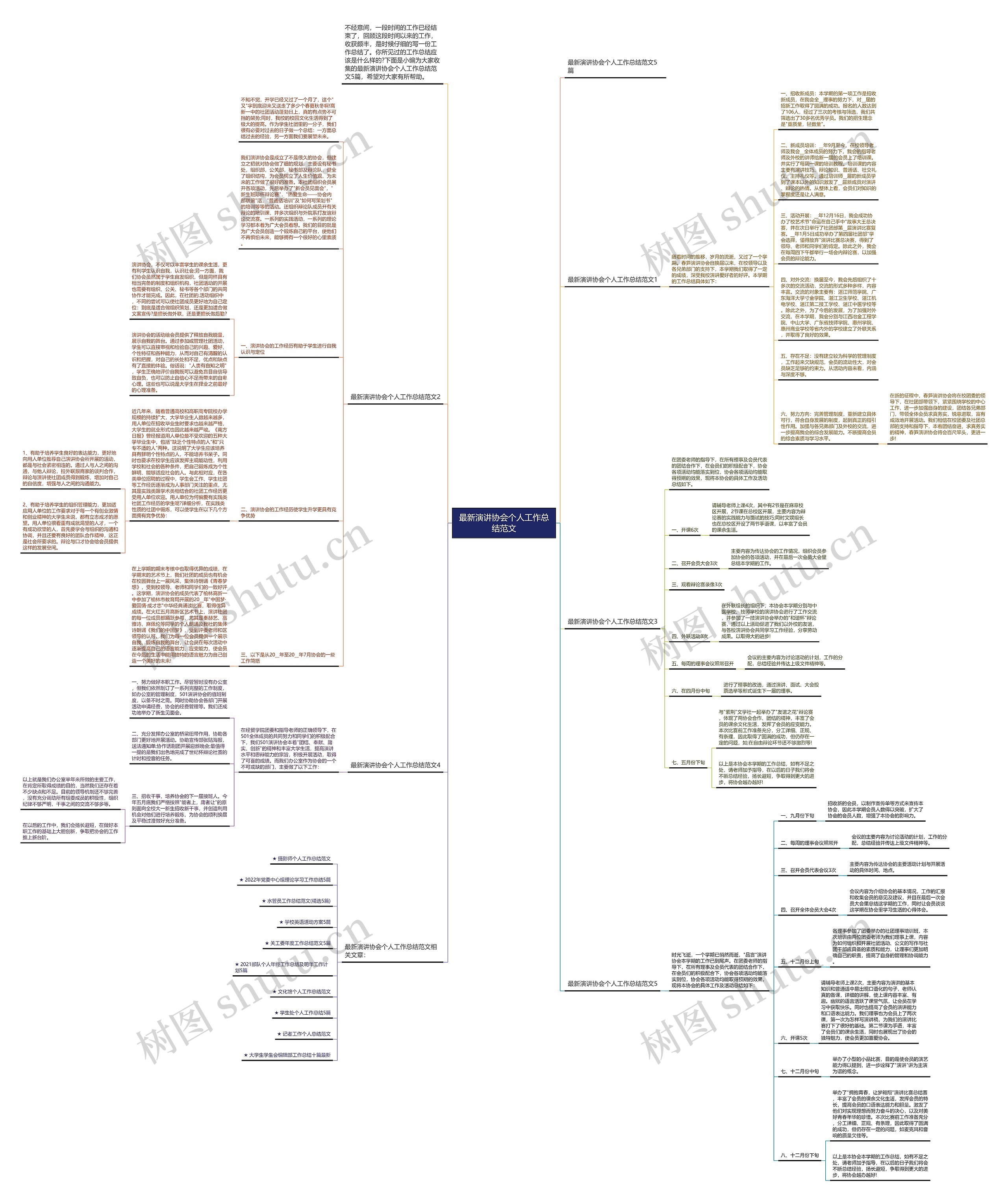 最新演讲协会个人工作总结范文思维导图