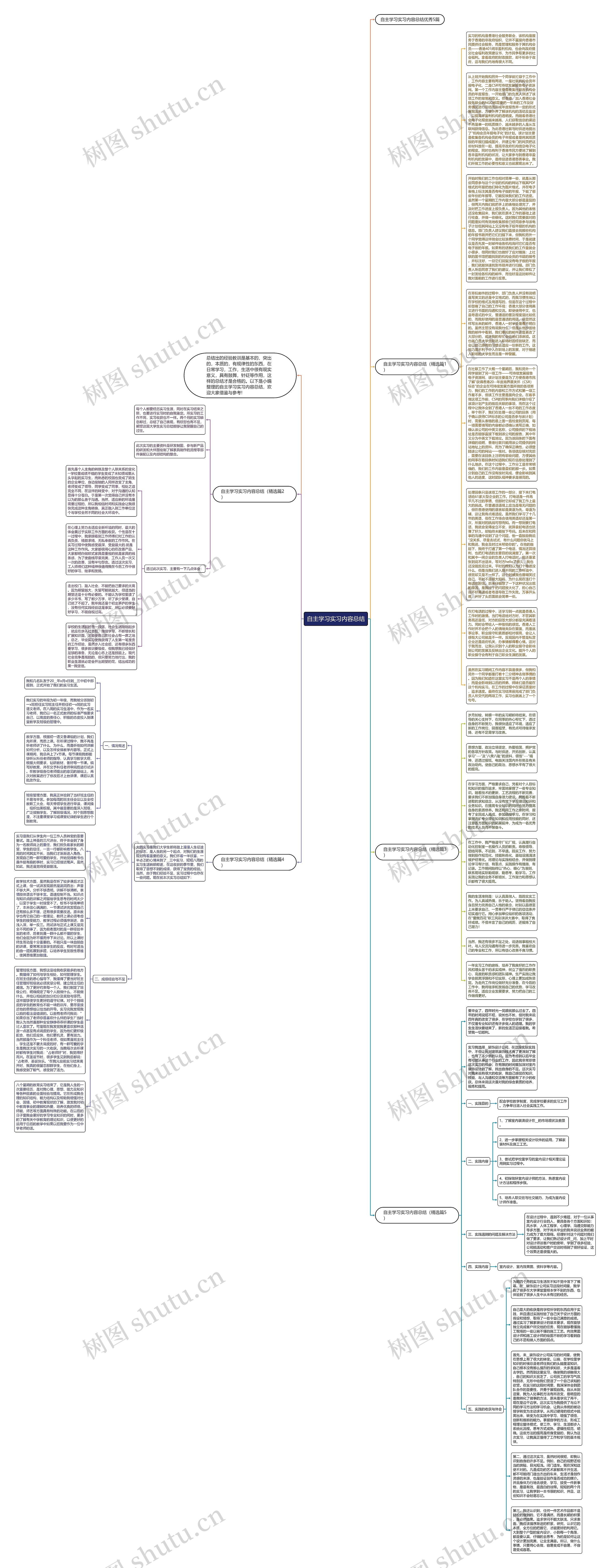 自主学习实习内容总结思维导图