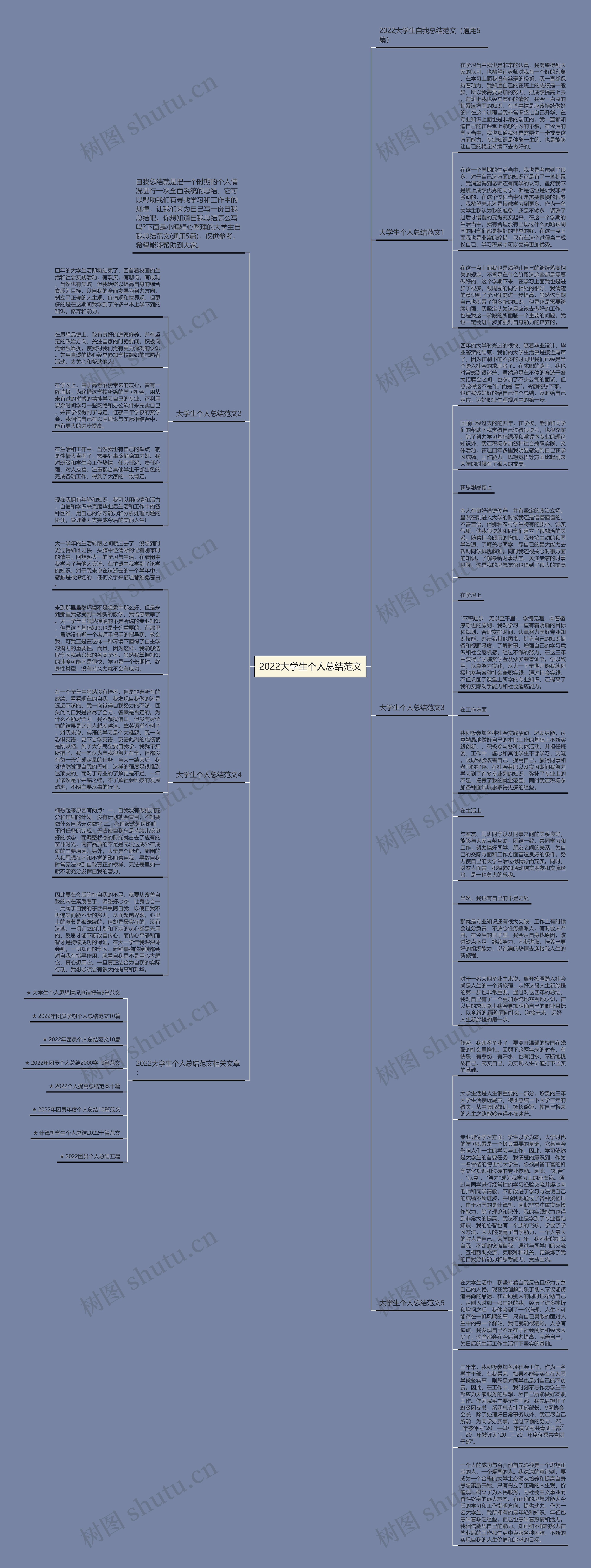 2022大学生个人总结范文思维导图