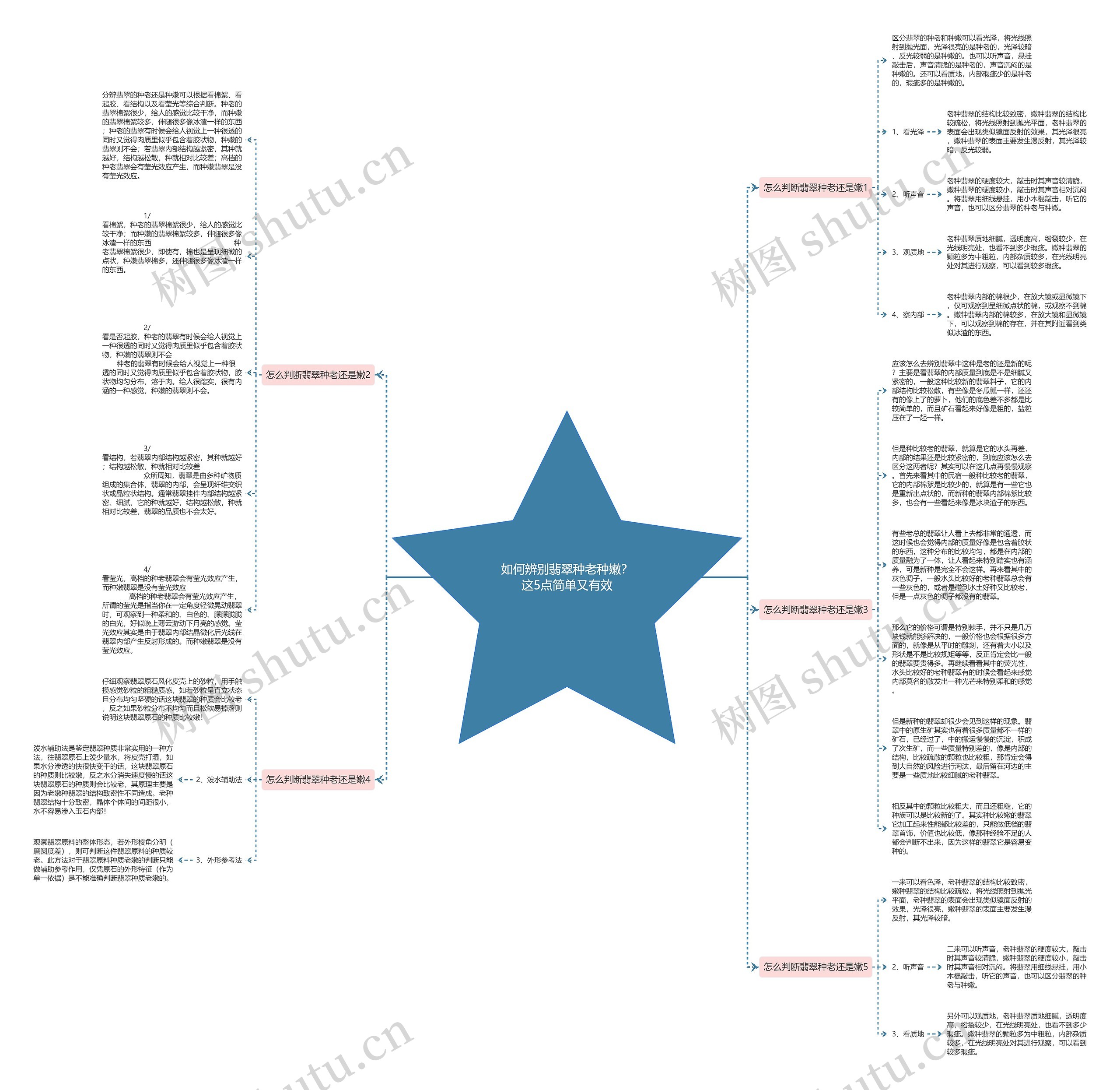 如何辨别翡翠种老种嫩？这5点简单又有效思维导图