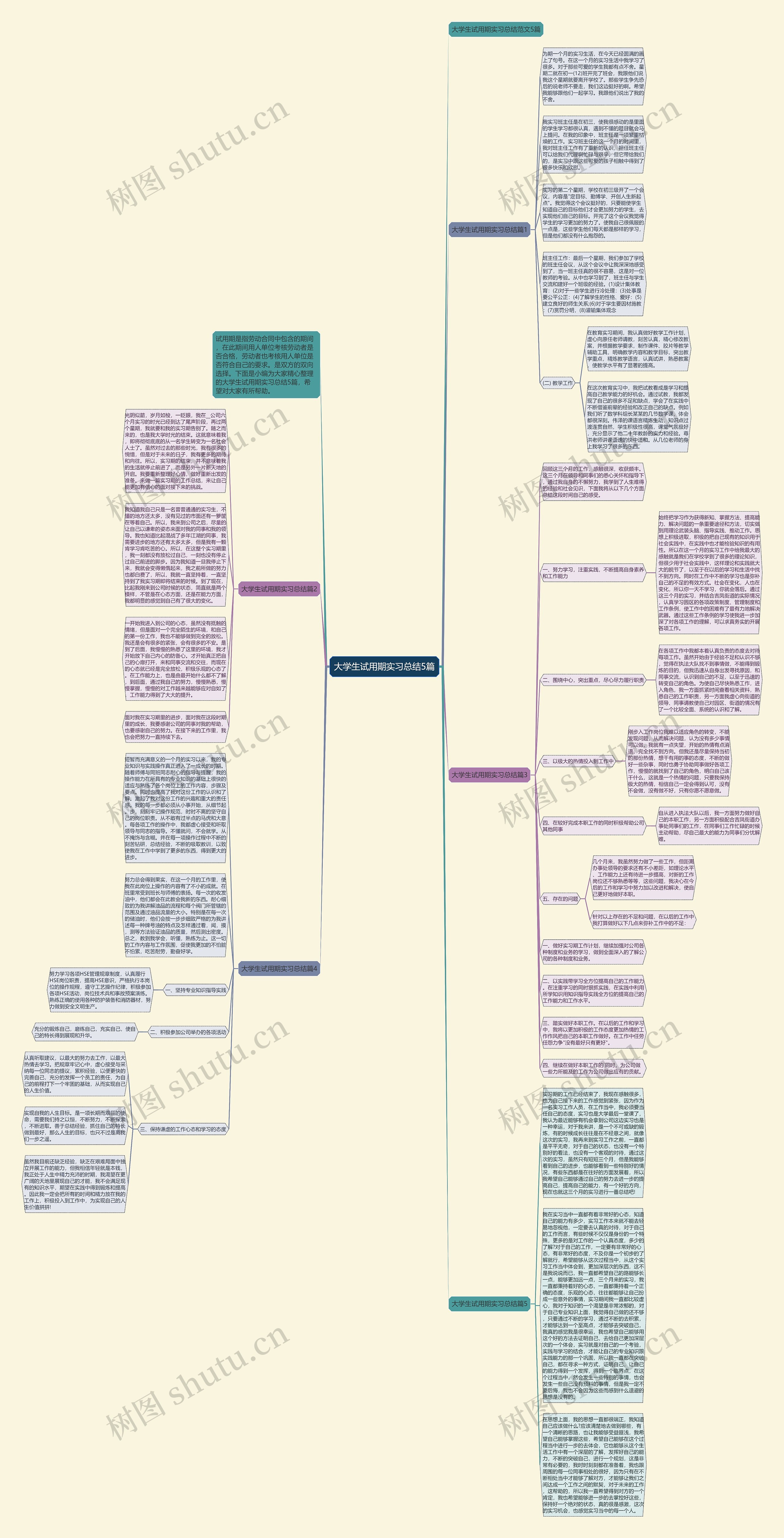 大学生试用期实习总结5篇思维导图