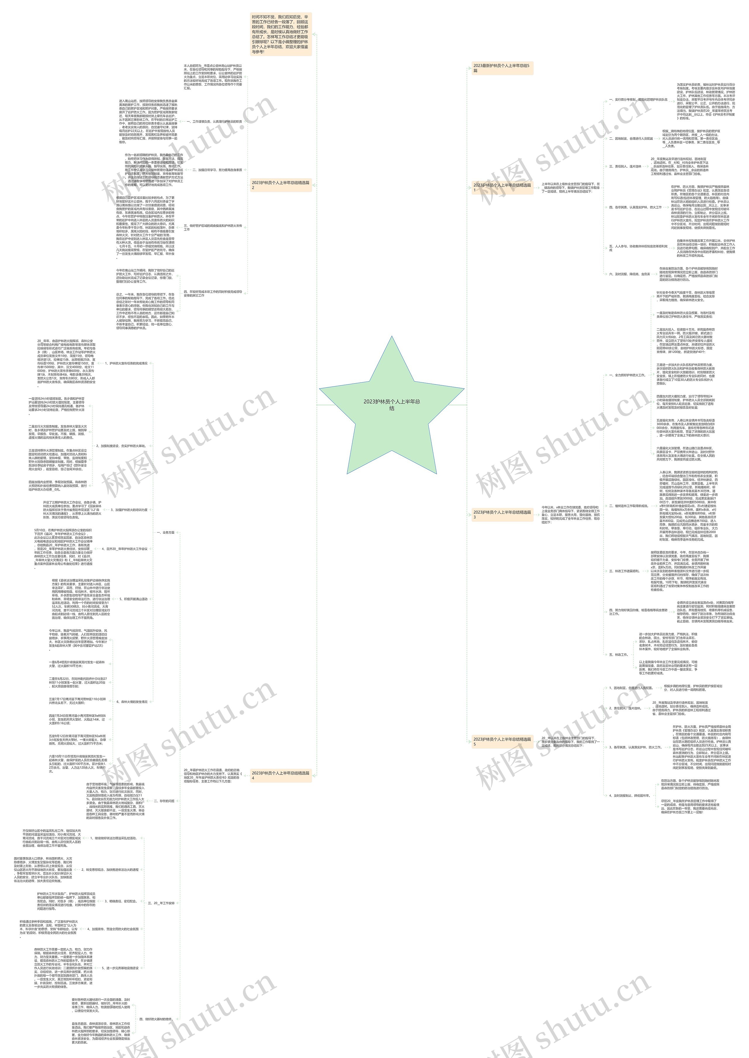 2023护林员个人上半年总结思维导图