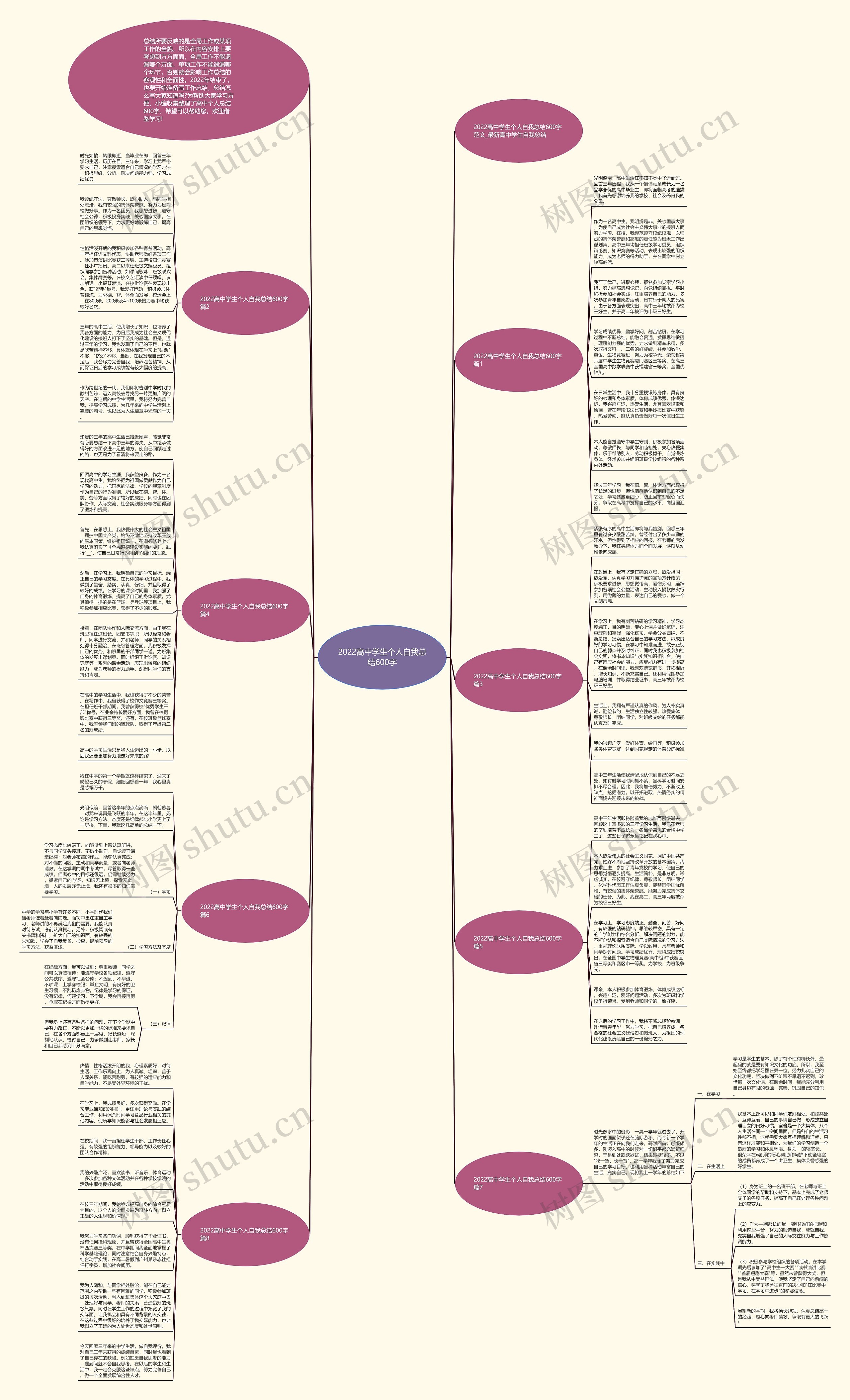 2022高中学生个人自我总结600字思维导图