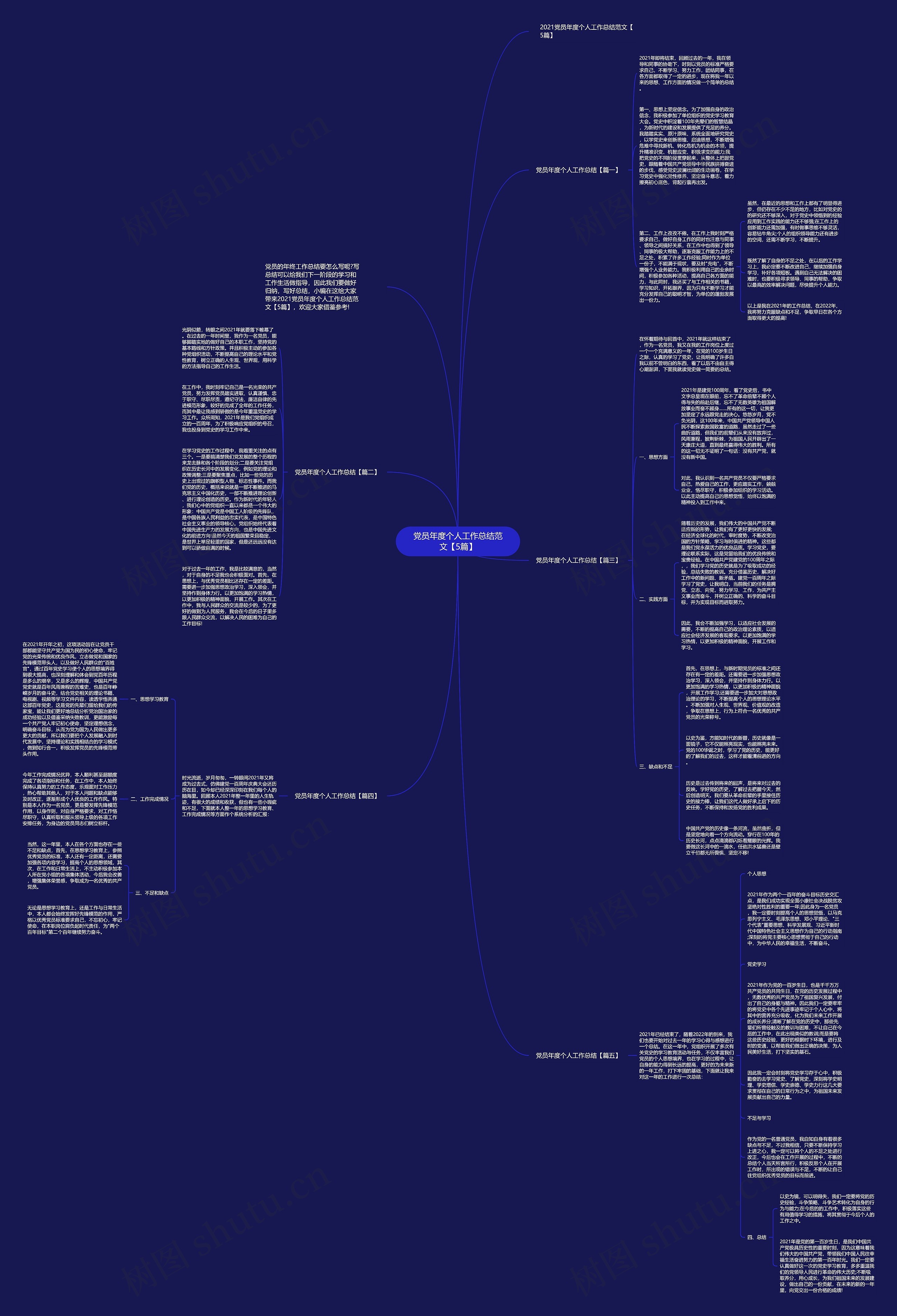 党员年度个人工作总结范文【5篇】思维导图