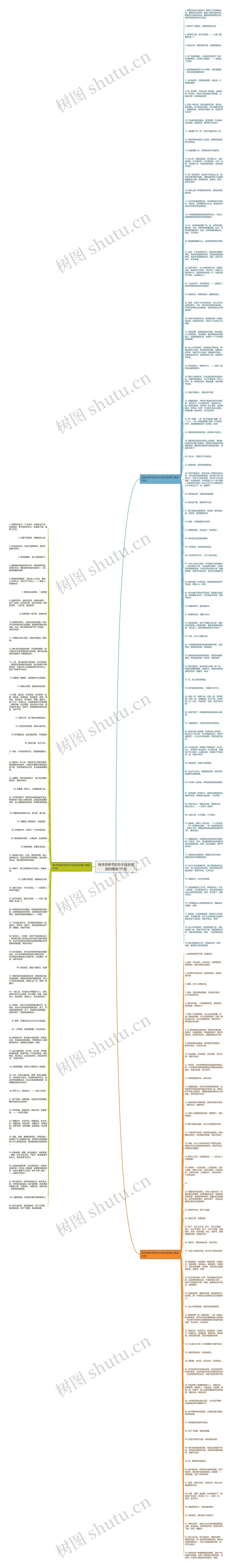 有关母亲节的句子适合饭店的精选191句思维导图