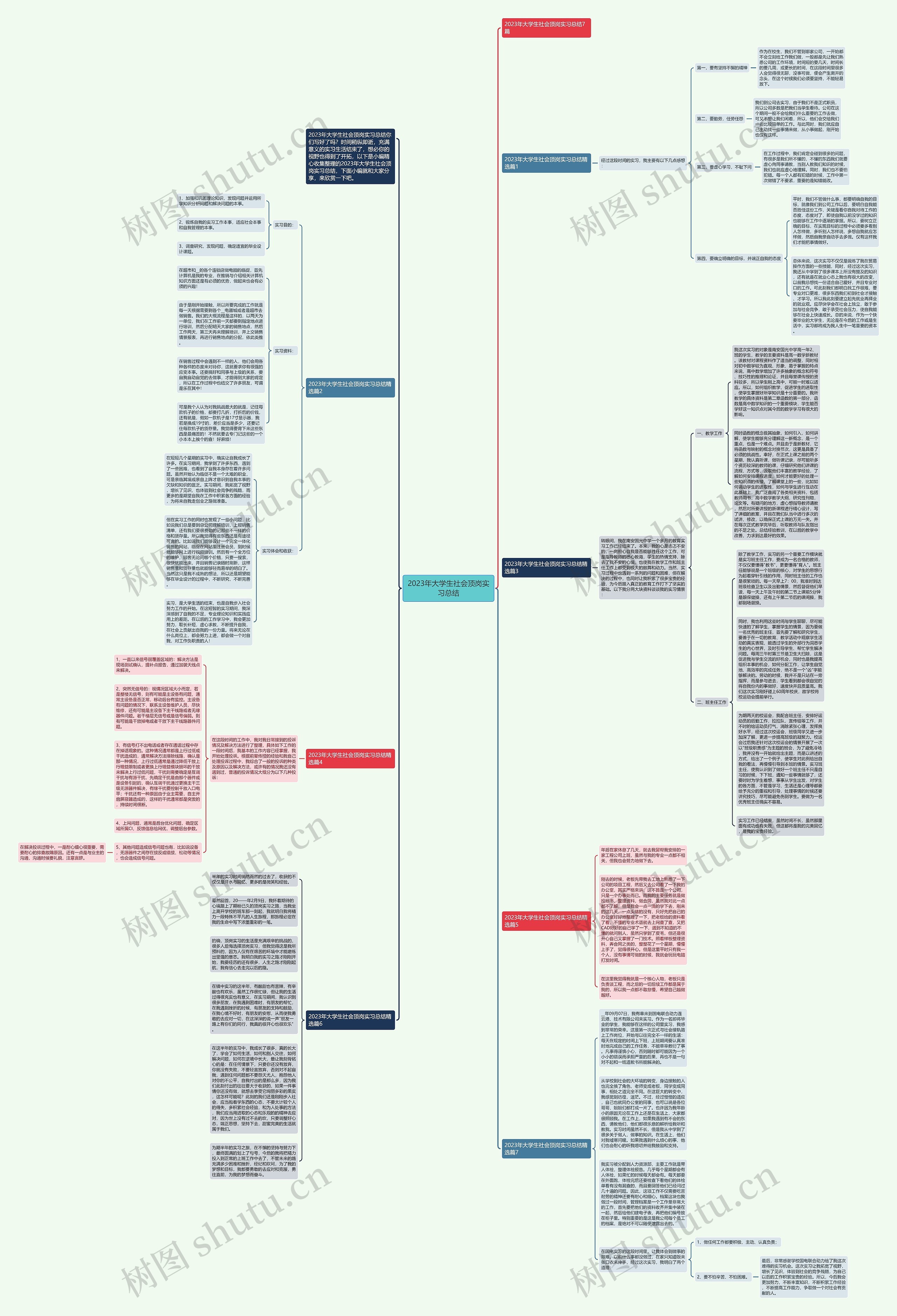 2023年大学生社会顶岗实习总结思维导图