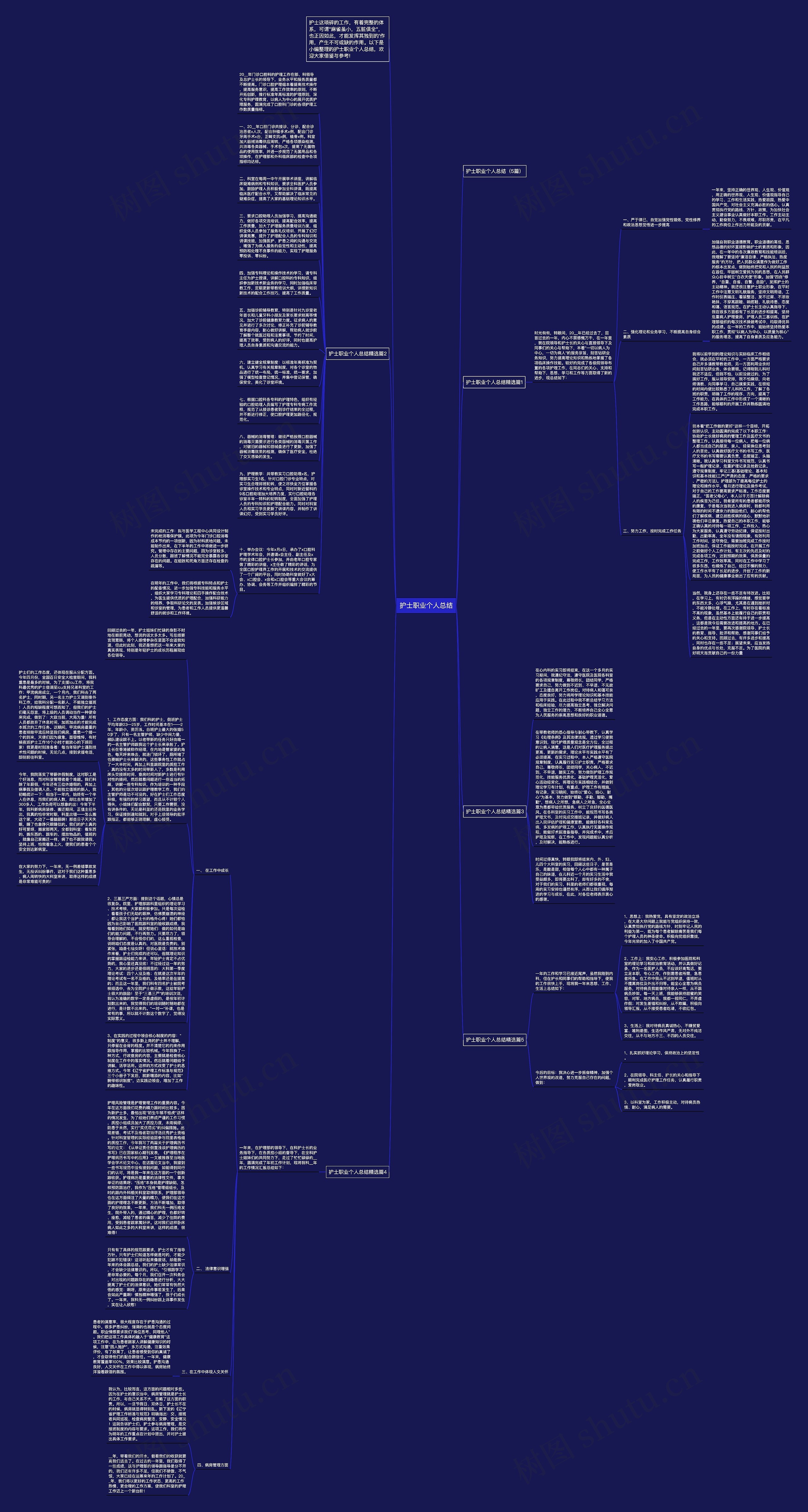护士职业个人总结思维导图