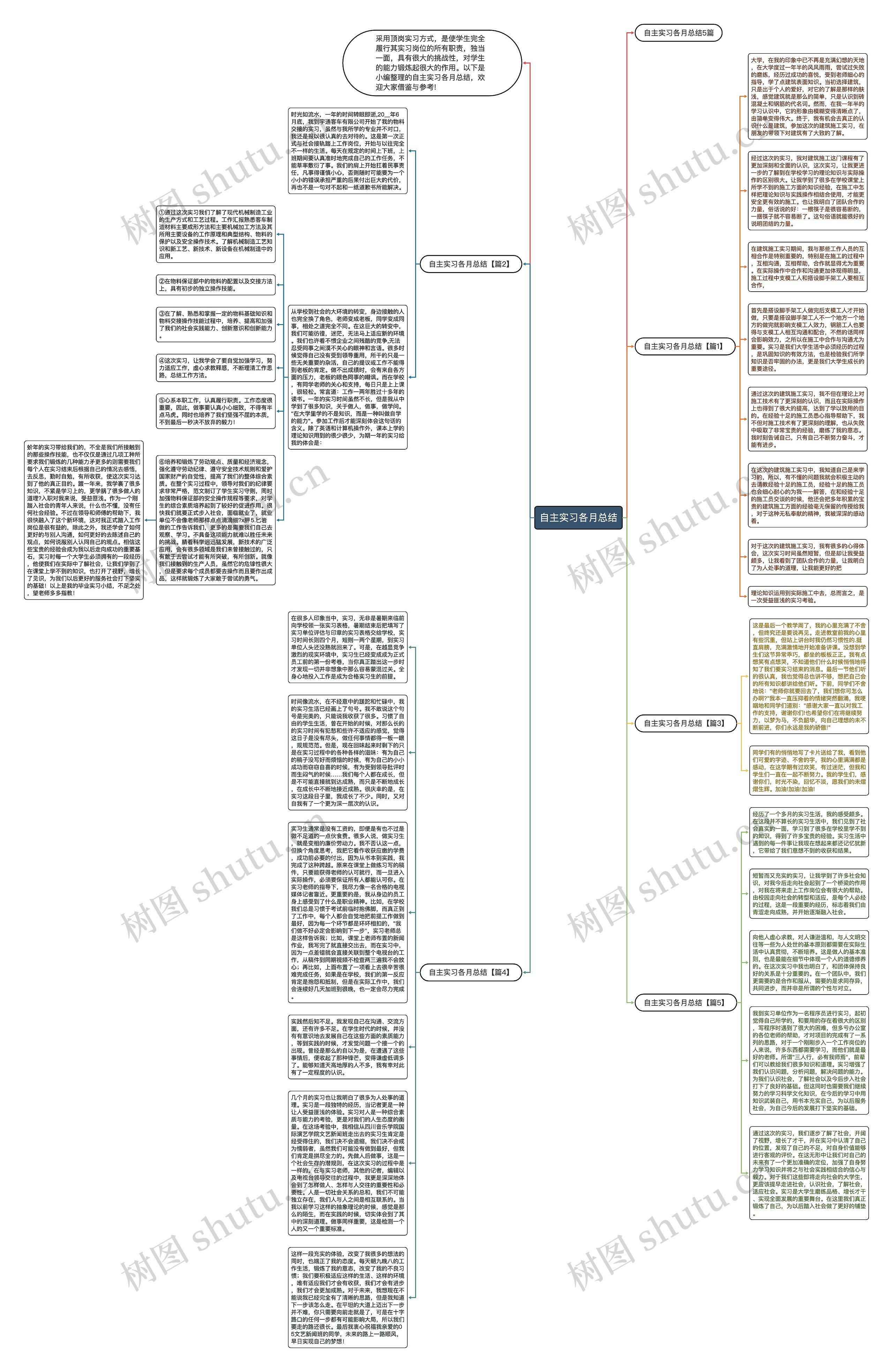 自主实习各月总结思维导图