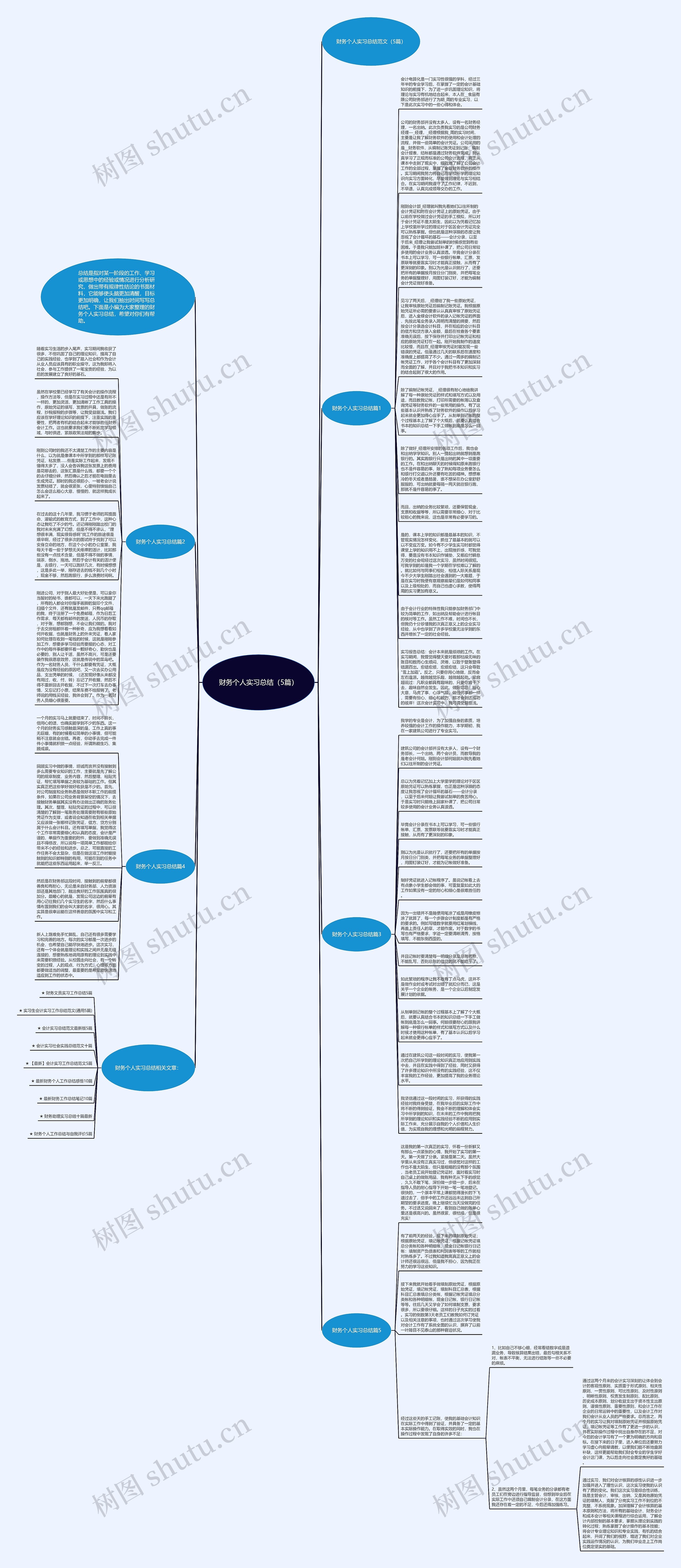 财务个人实习总结（5篇）思维导图