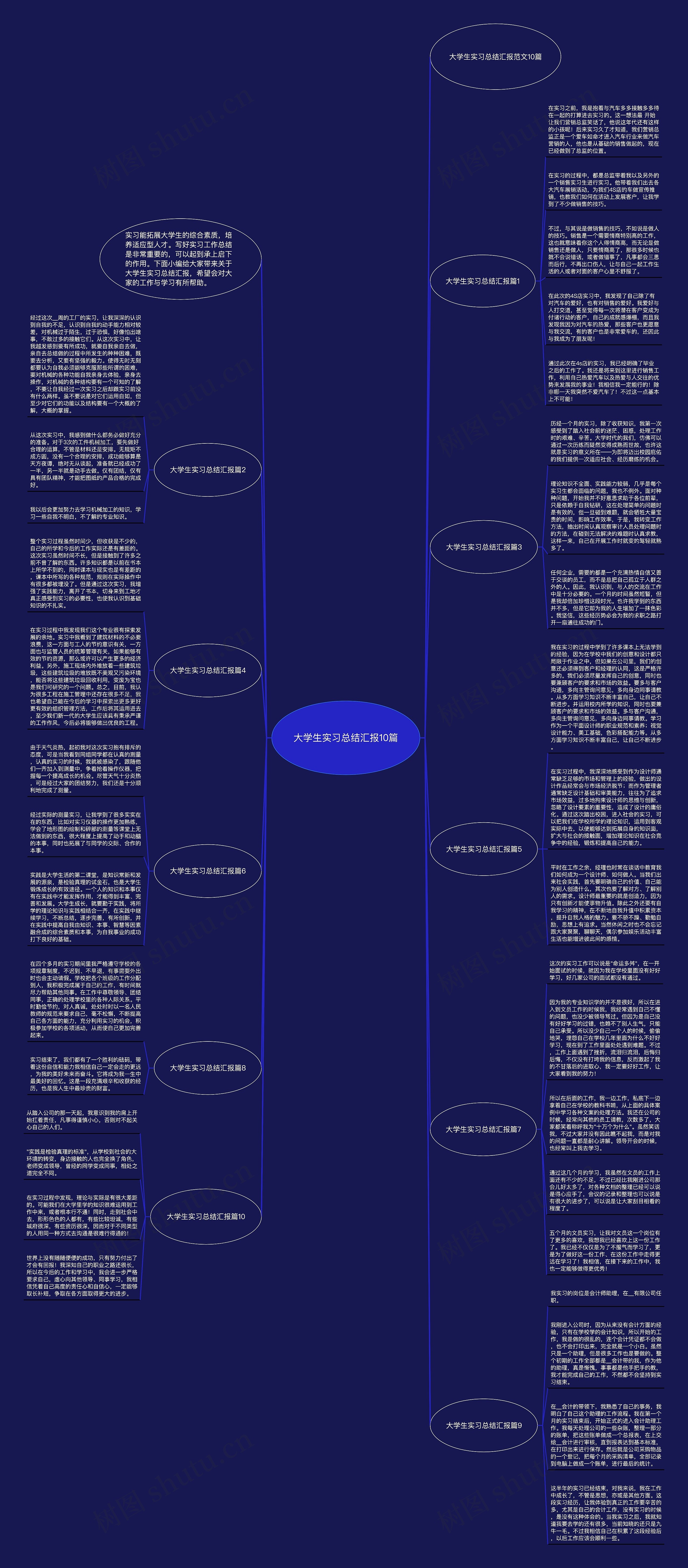 大学生实习总结汇报10篇思维导图