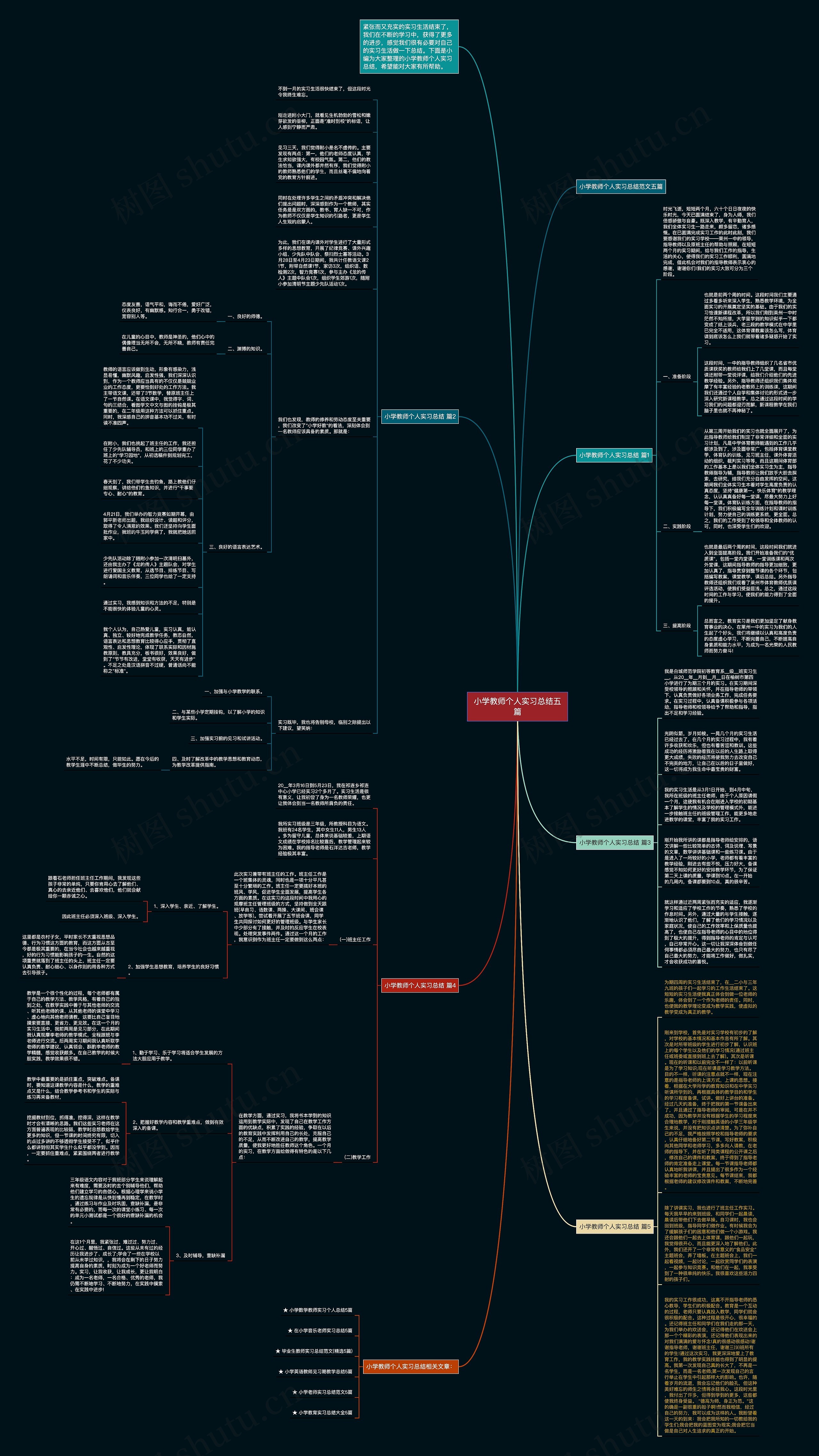 小学教师个人实习总结五篇思维导图