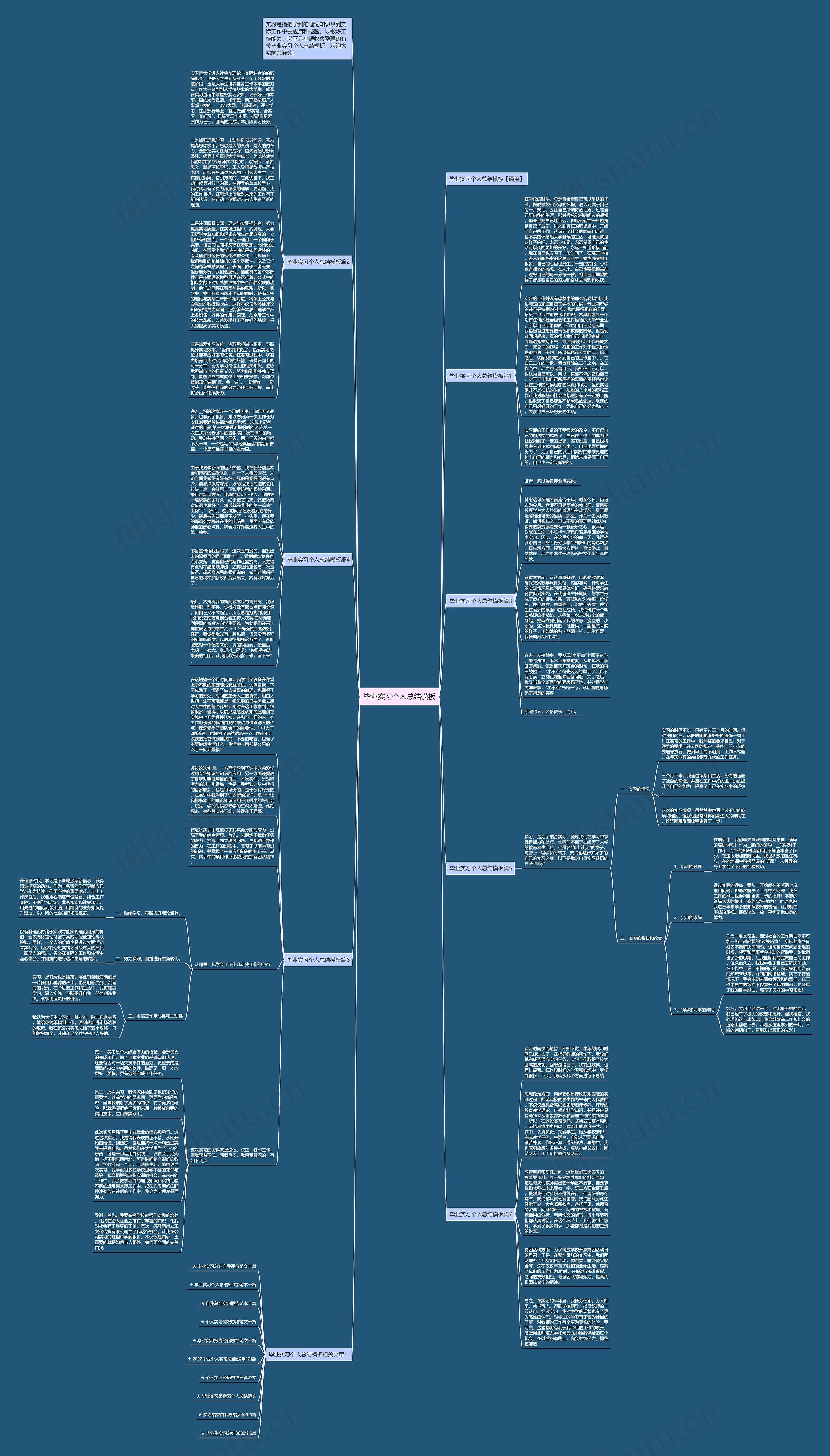 毕业实习个人总结模板