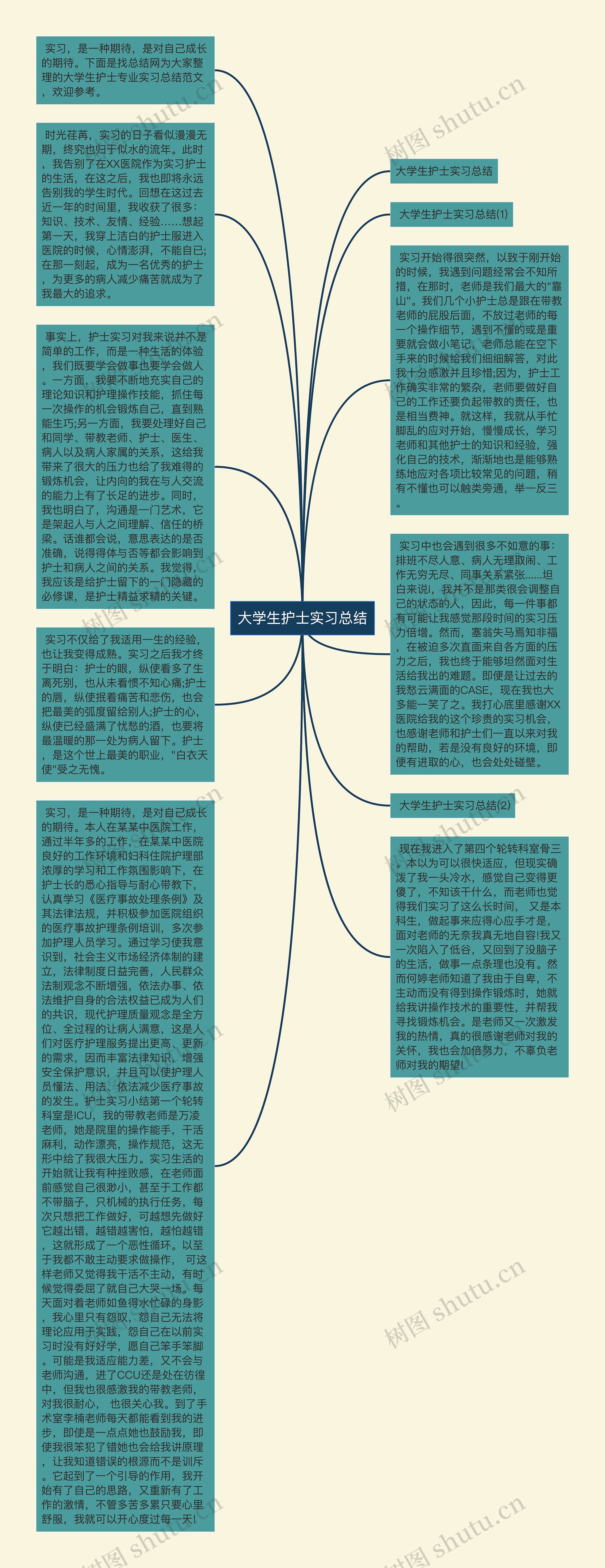 大学生护士实习总结