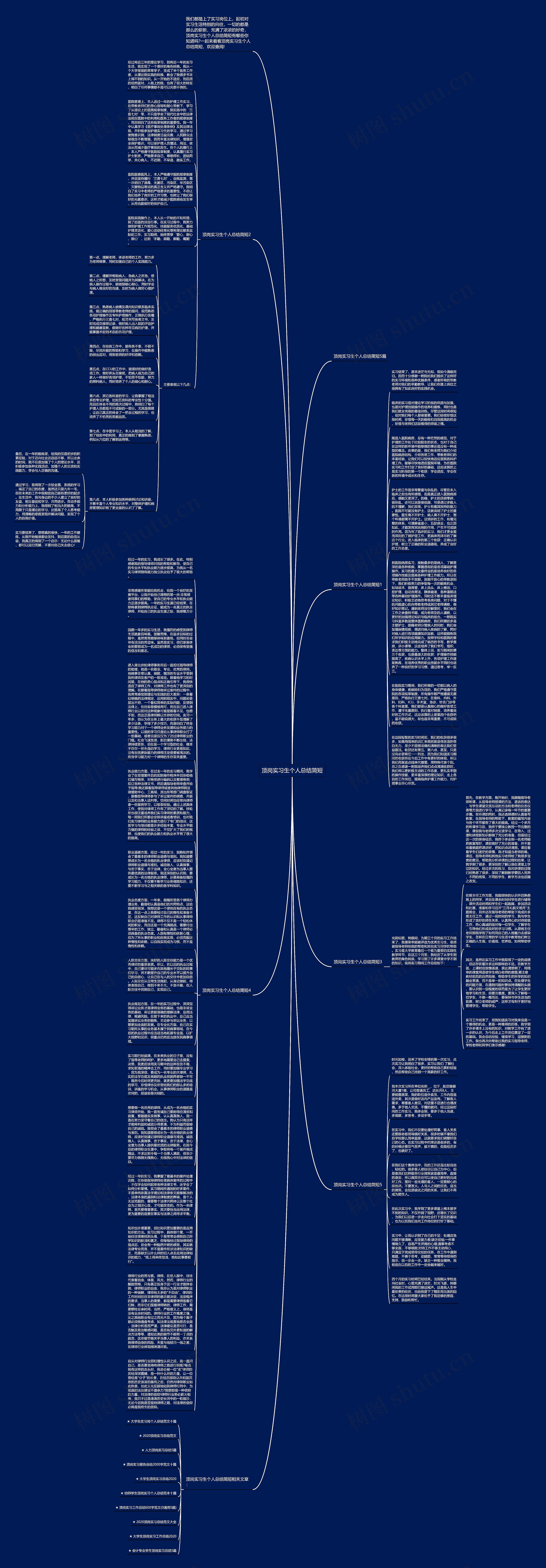 顶岗实习生个人总结简短思维导图