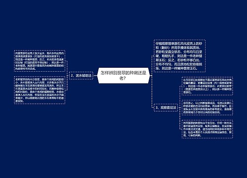 怎样辨别翡翠的种嫩还是老？