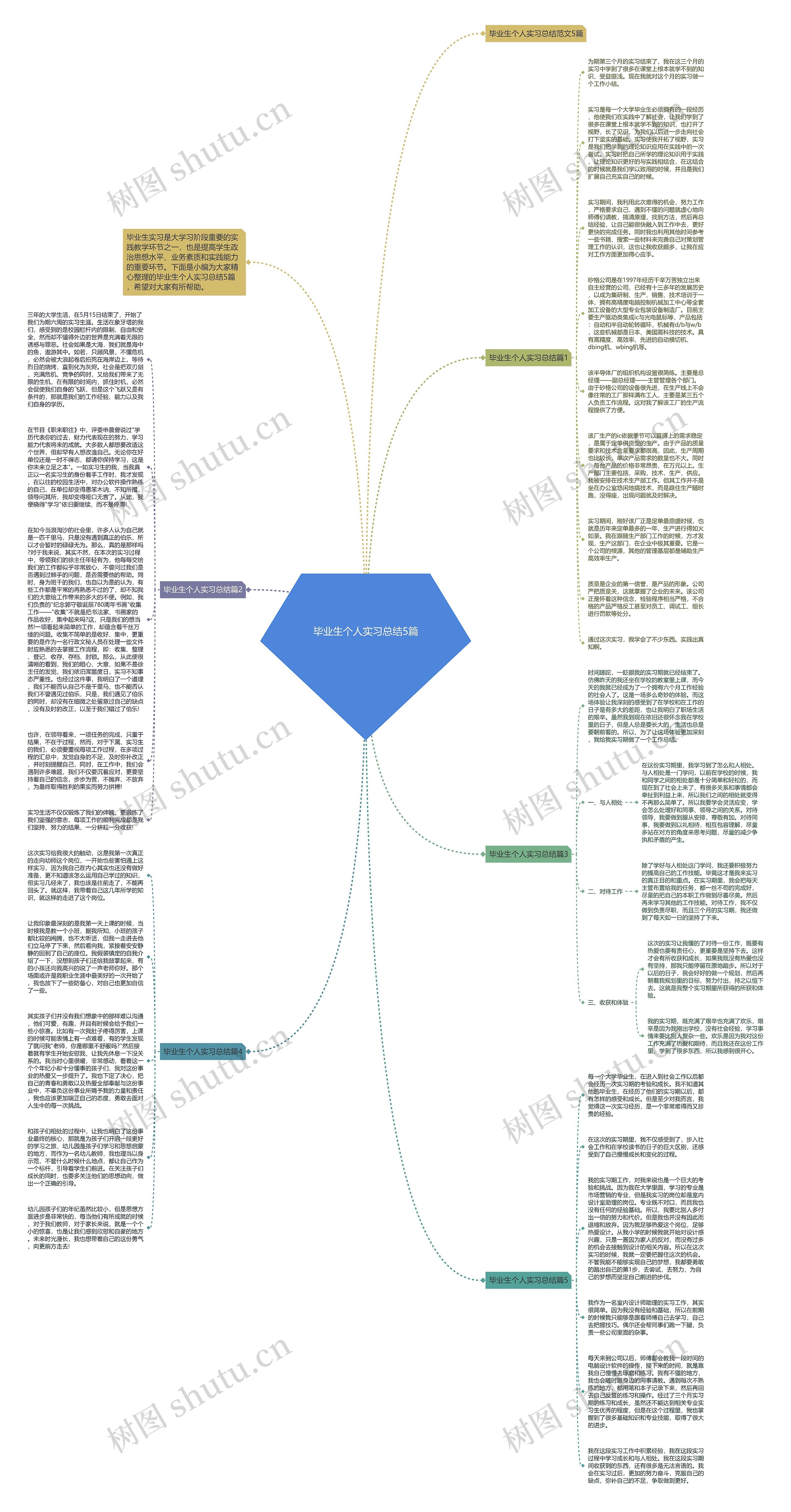 毕业生个人实习总结5篇思维导图