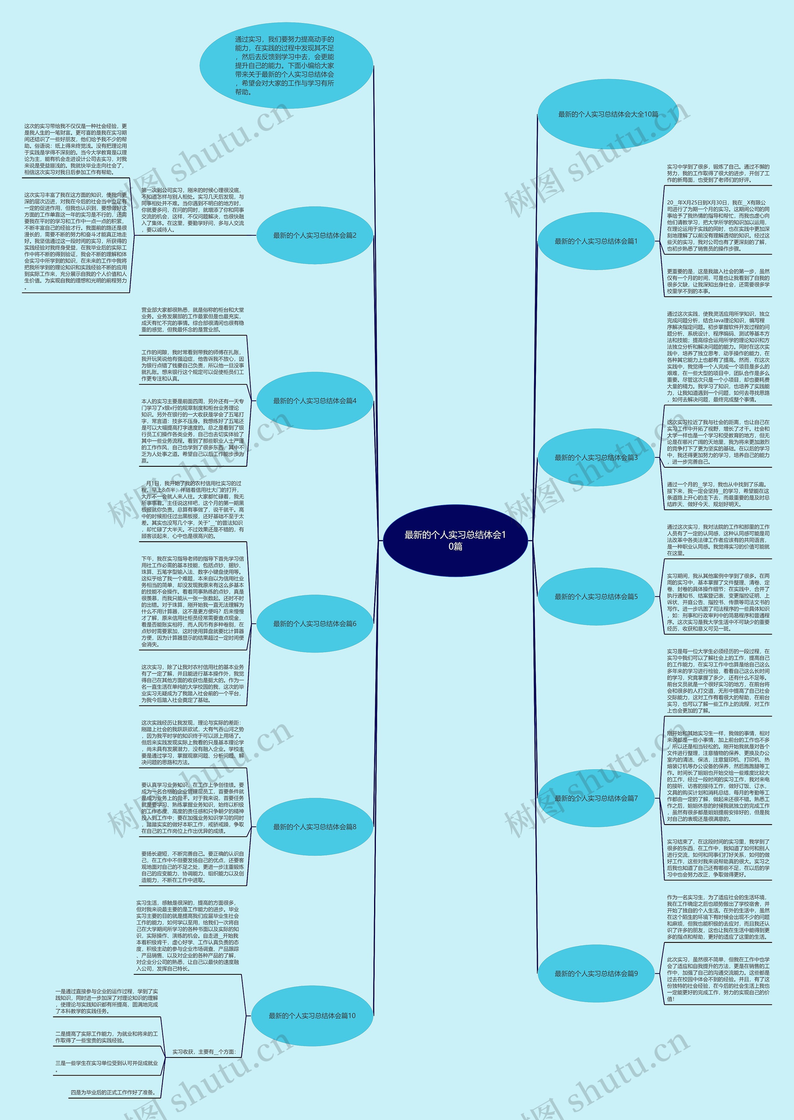 最新的个人实习总结体会10篇思维导图