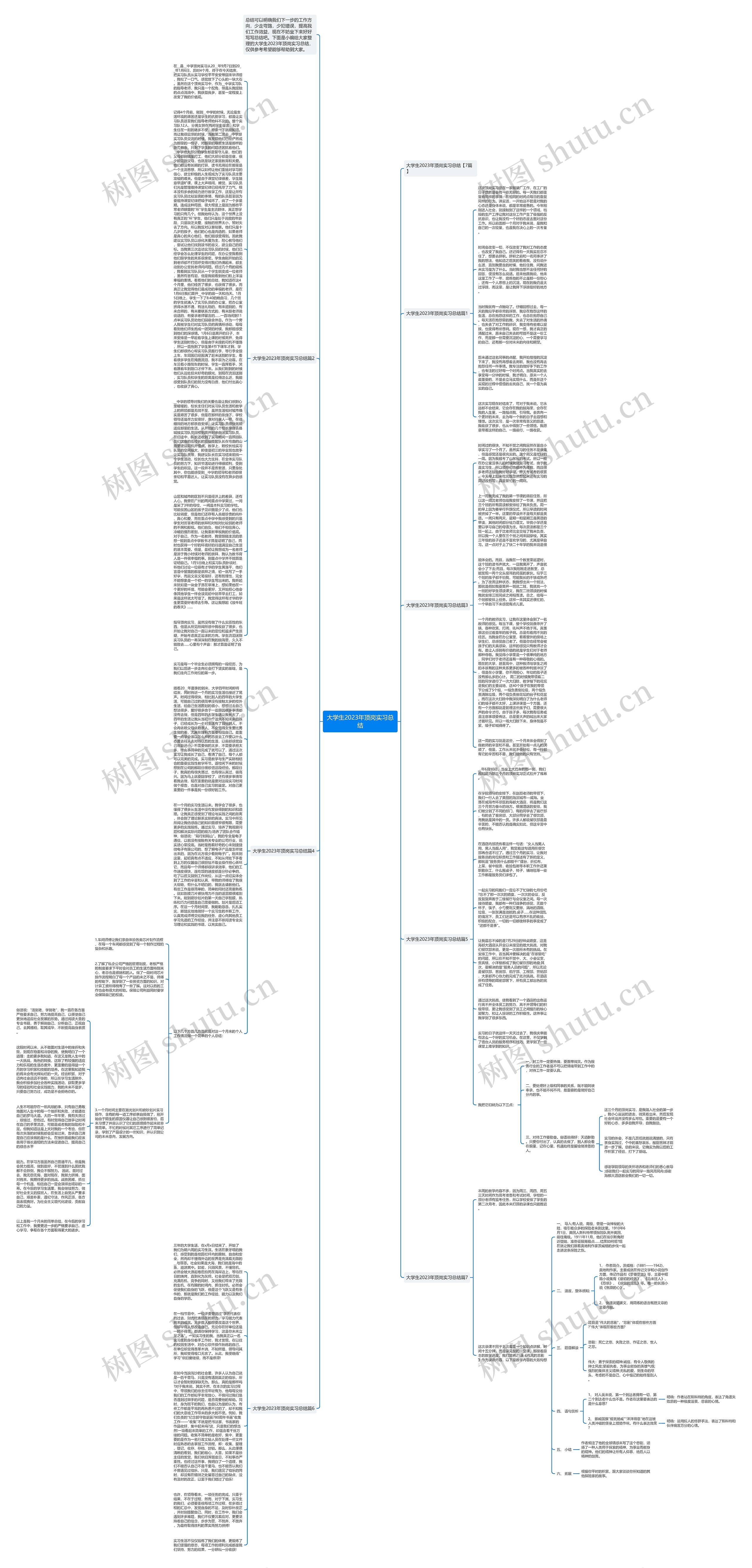 大学生2023年顶岗实习总结思维导图