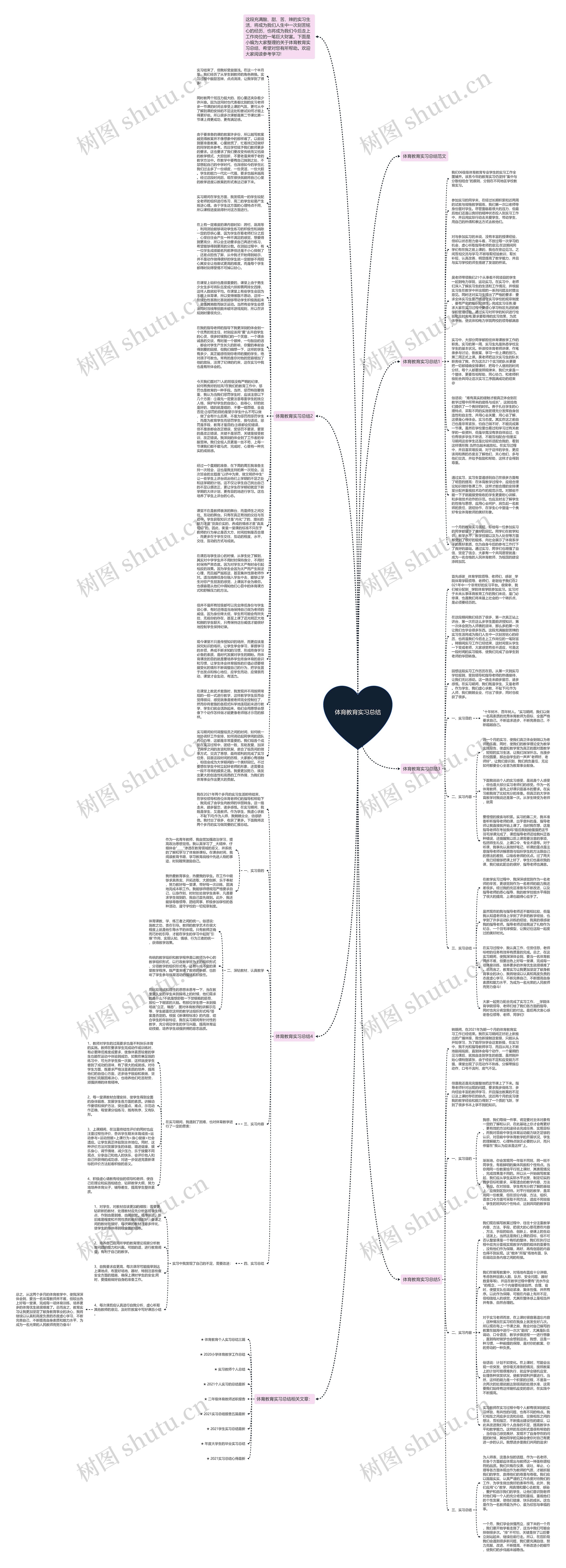 体育教育实习总结思维导图