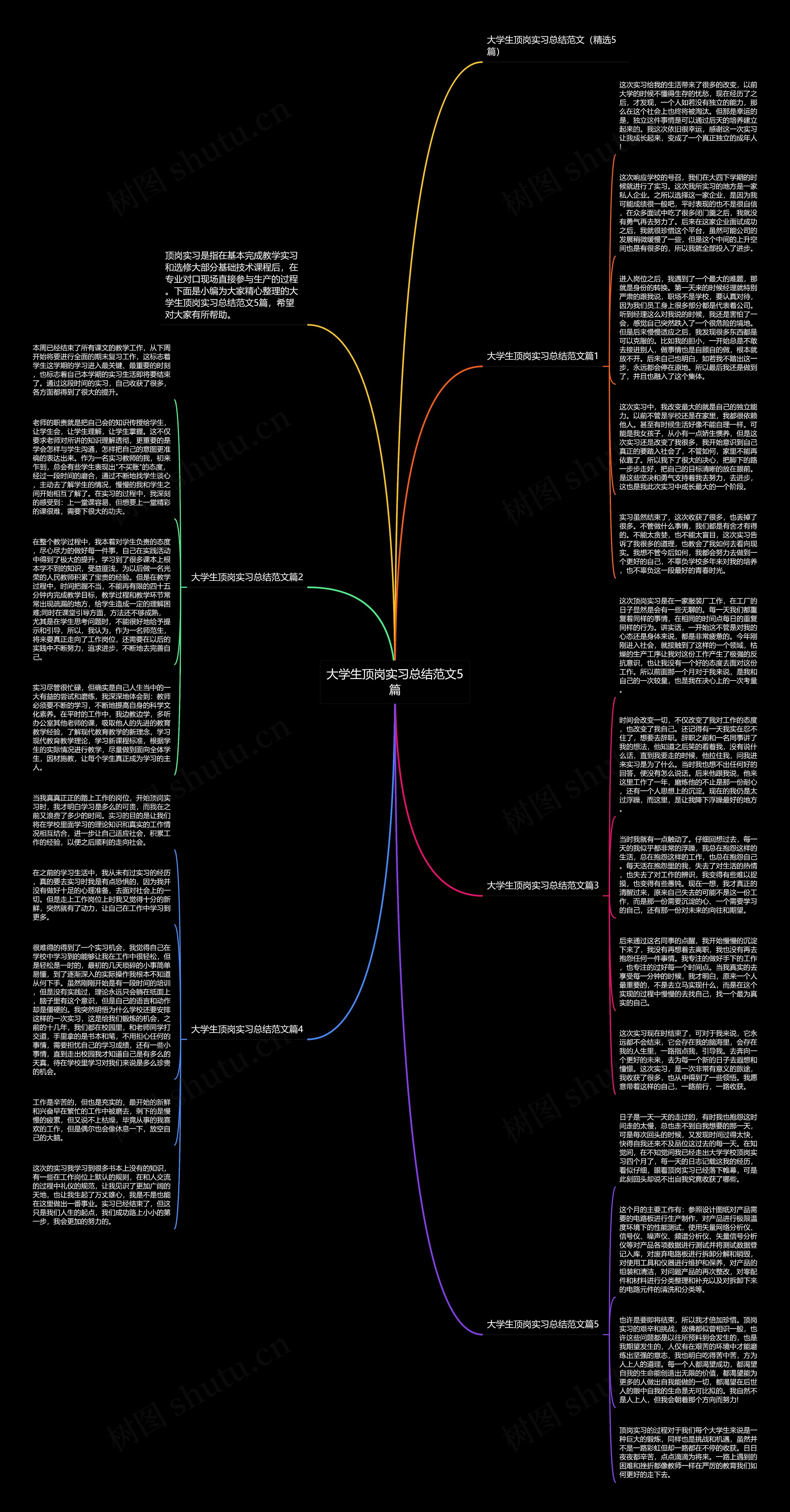大学生顶岗实习总结范文5篇思维导图
