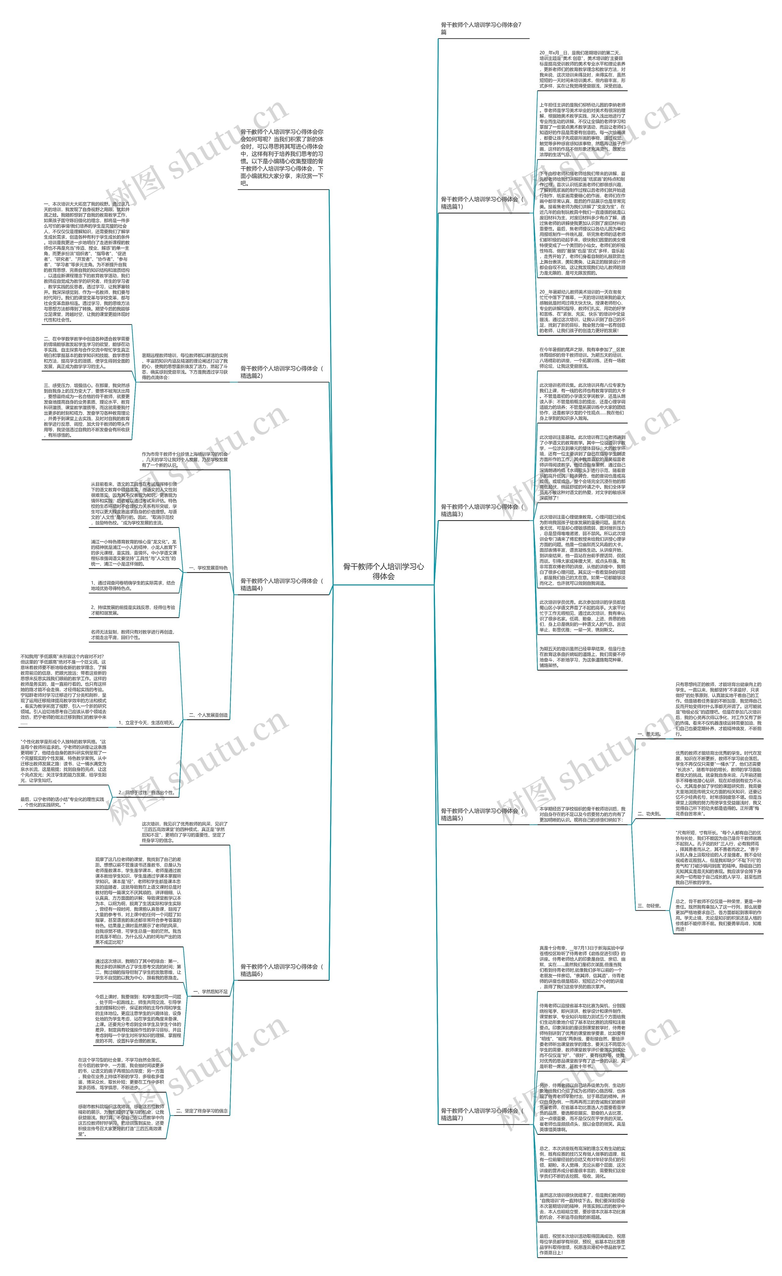 骨干教师个人培训学习心得体会思维导图