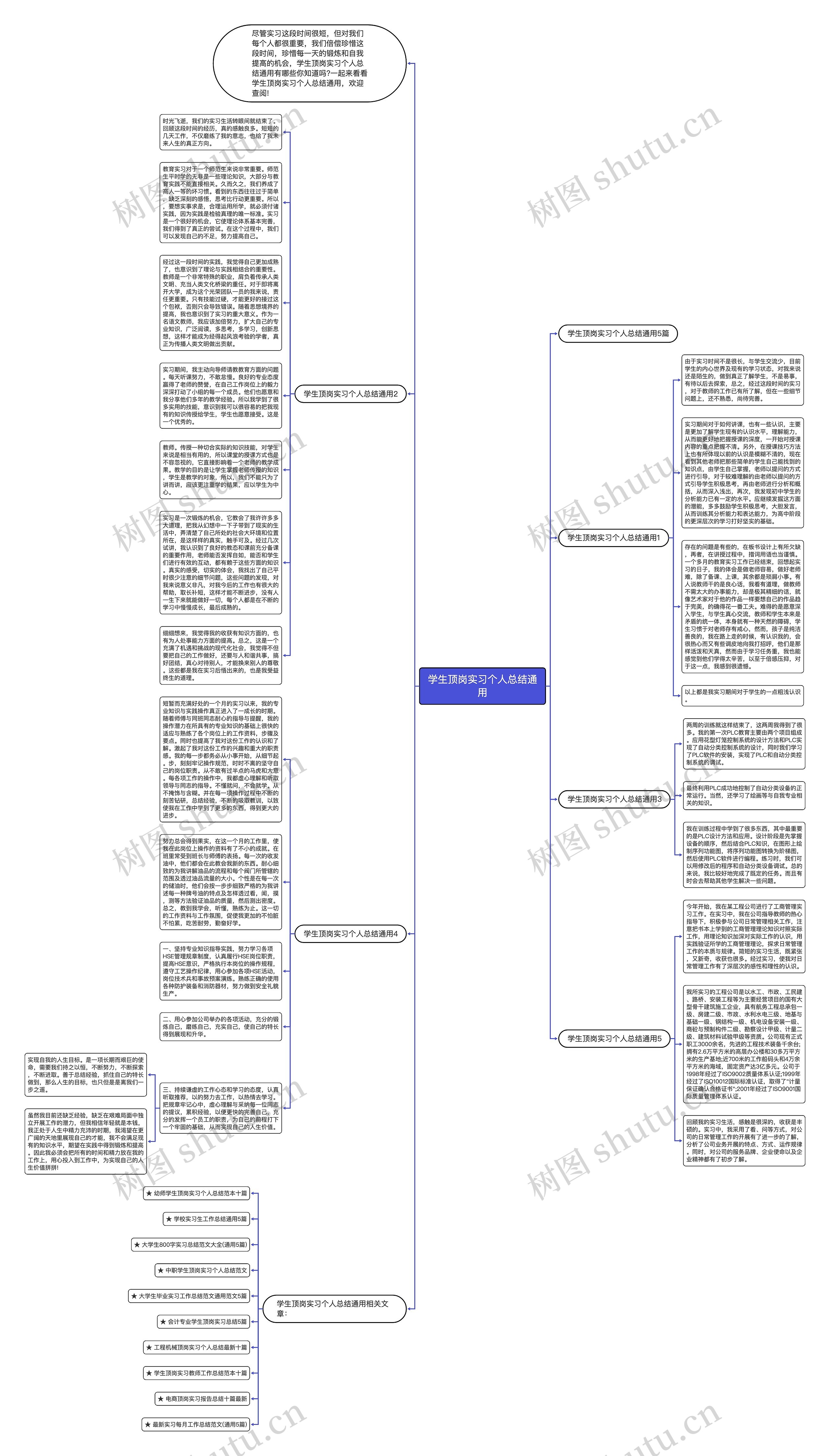 学生顶岗实习个人总结通用思维导图
