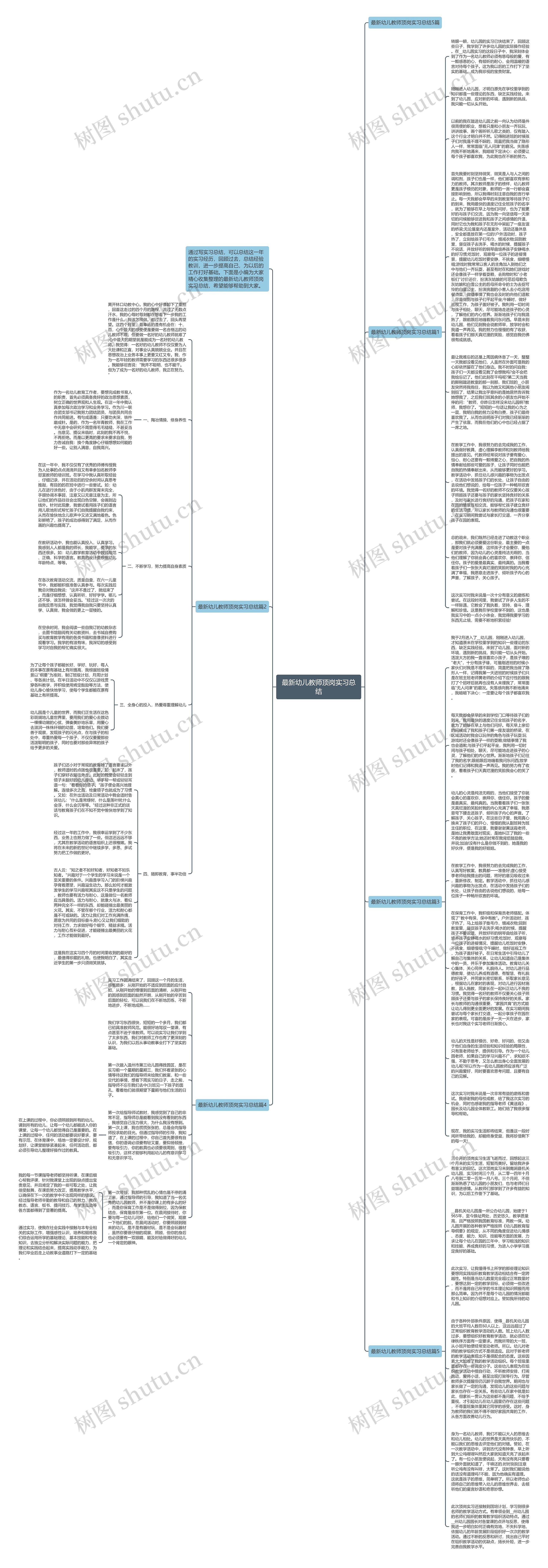 最新幼儿教师顶岗实习总结思维导图