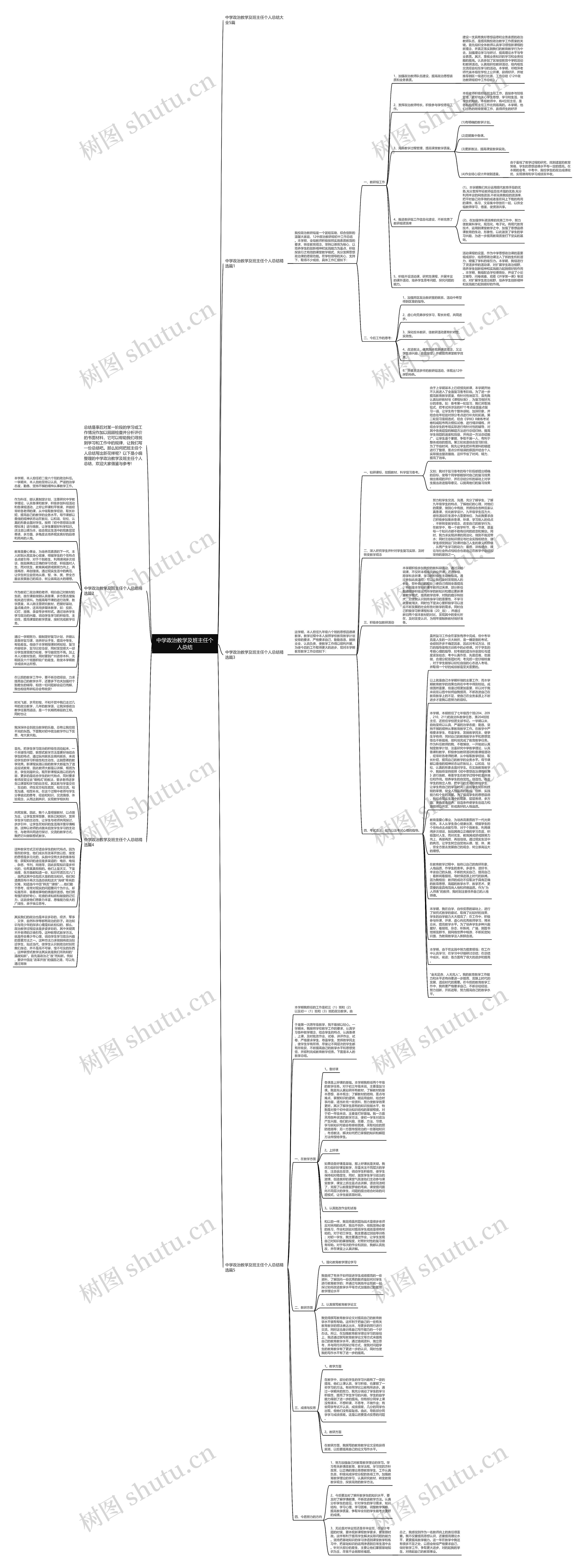 中学政治教学及班主任个人总结思维导图