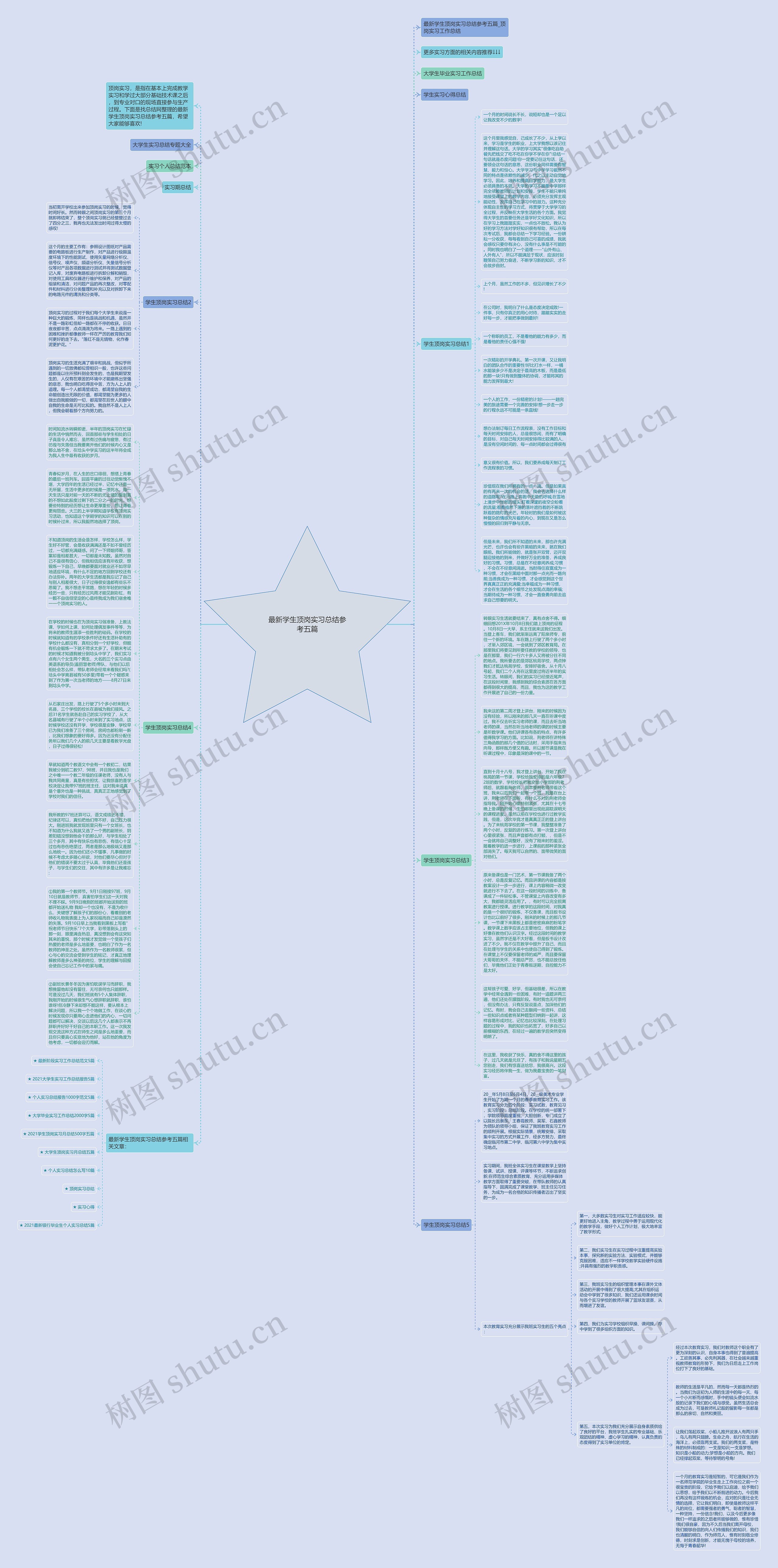 最新学生顶岗实习总结参考五篇思维导图