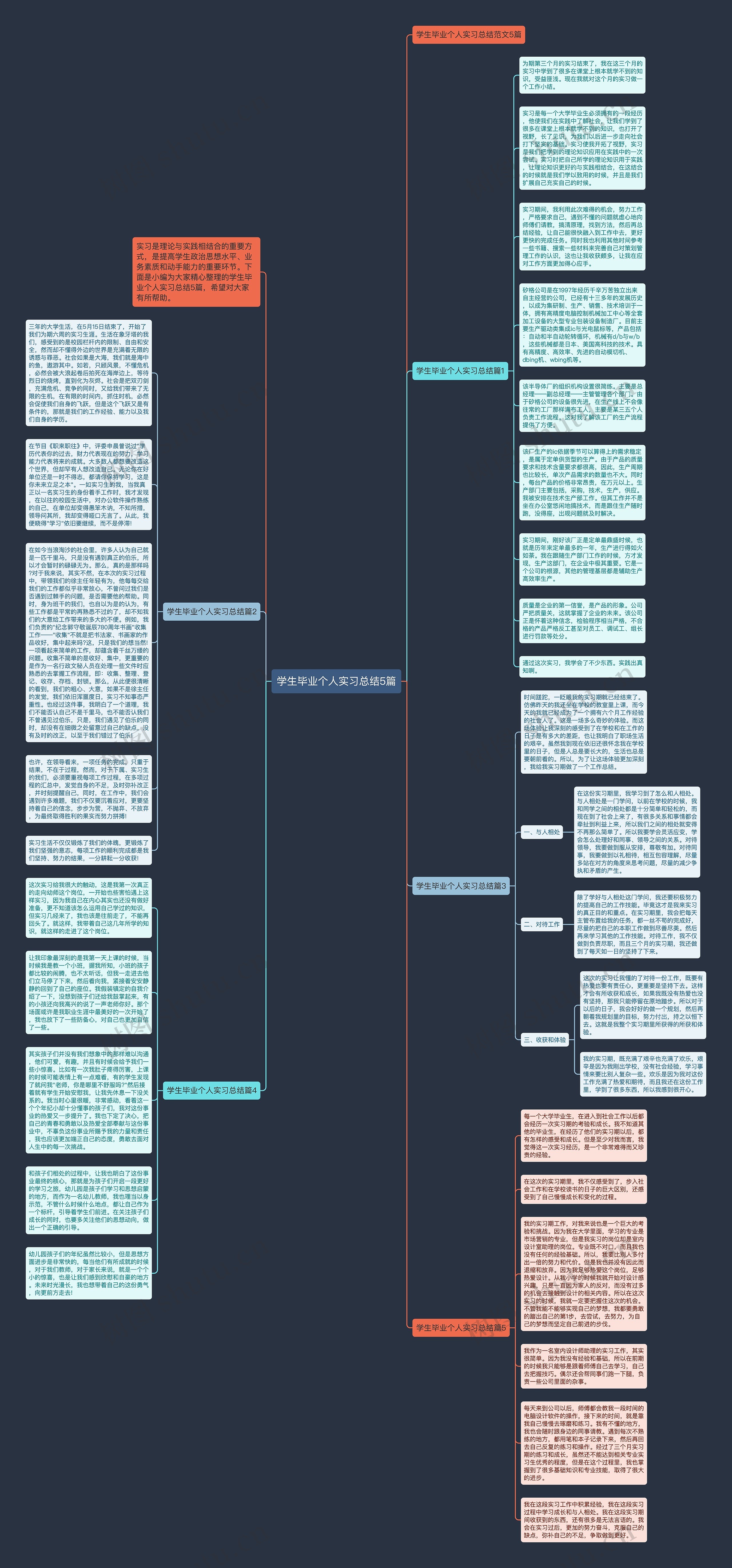 学生毕业个人实习总结5篇思维导图