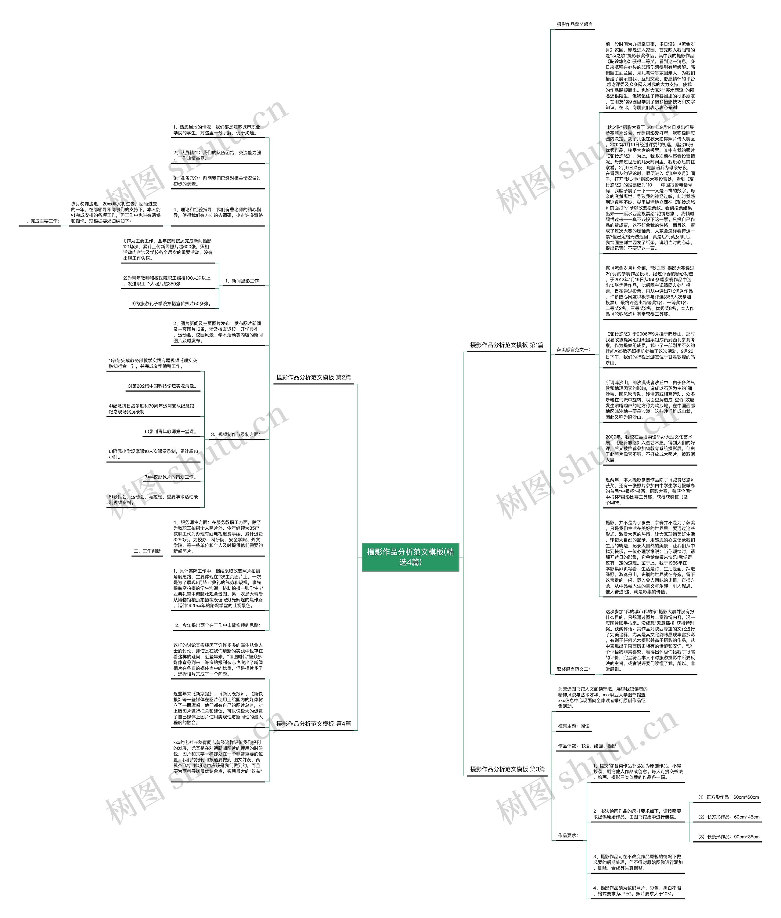 摄影作品分析范文(精选4篇)思维导图