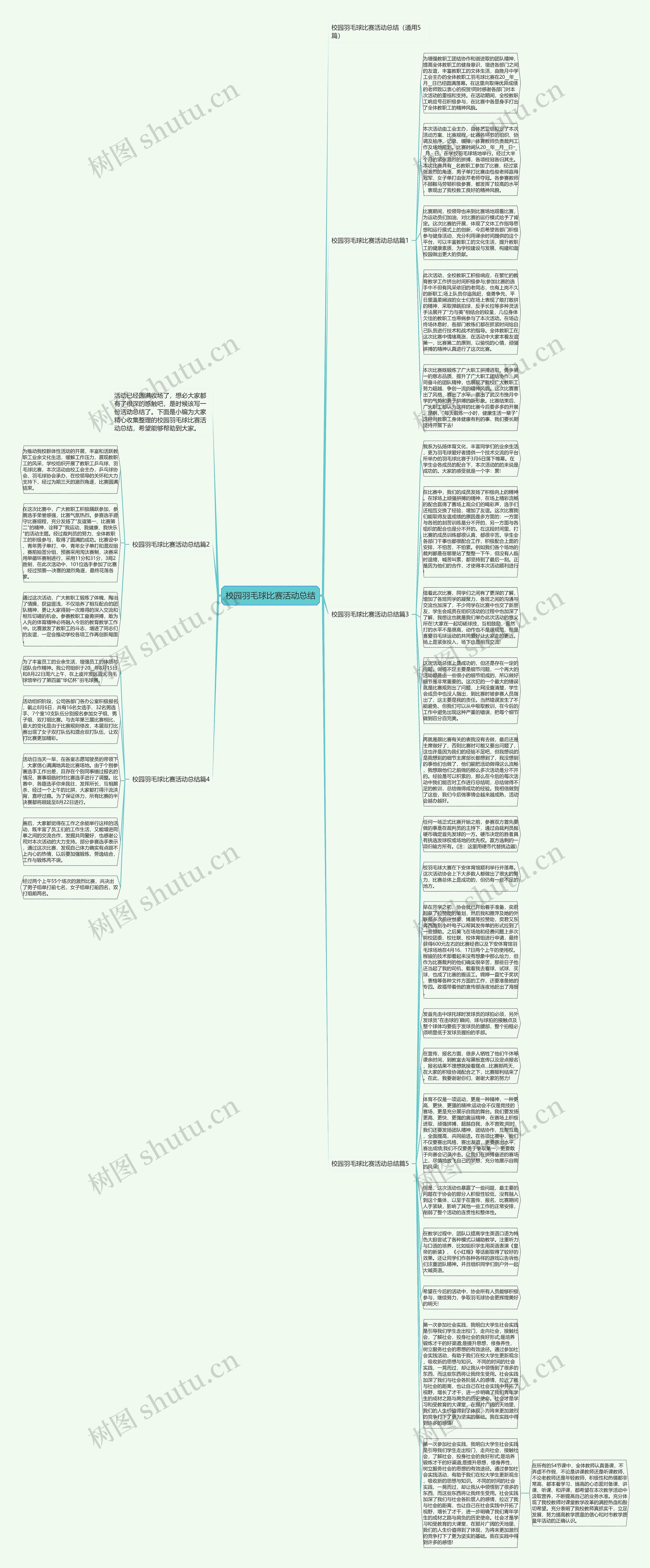 校园羽毛球比赛活动总结思维导图