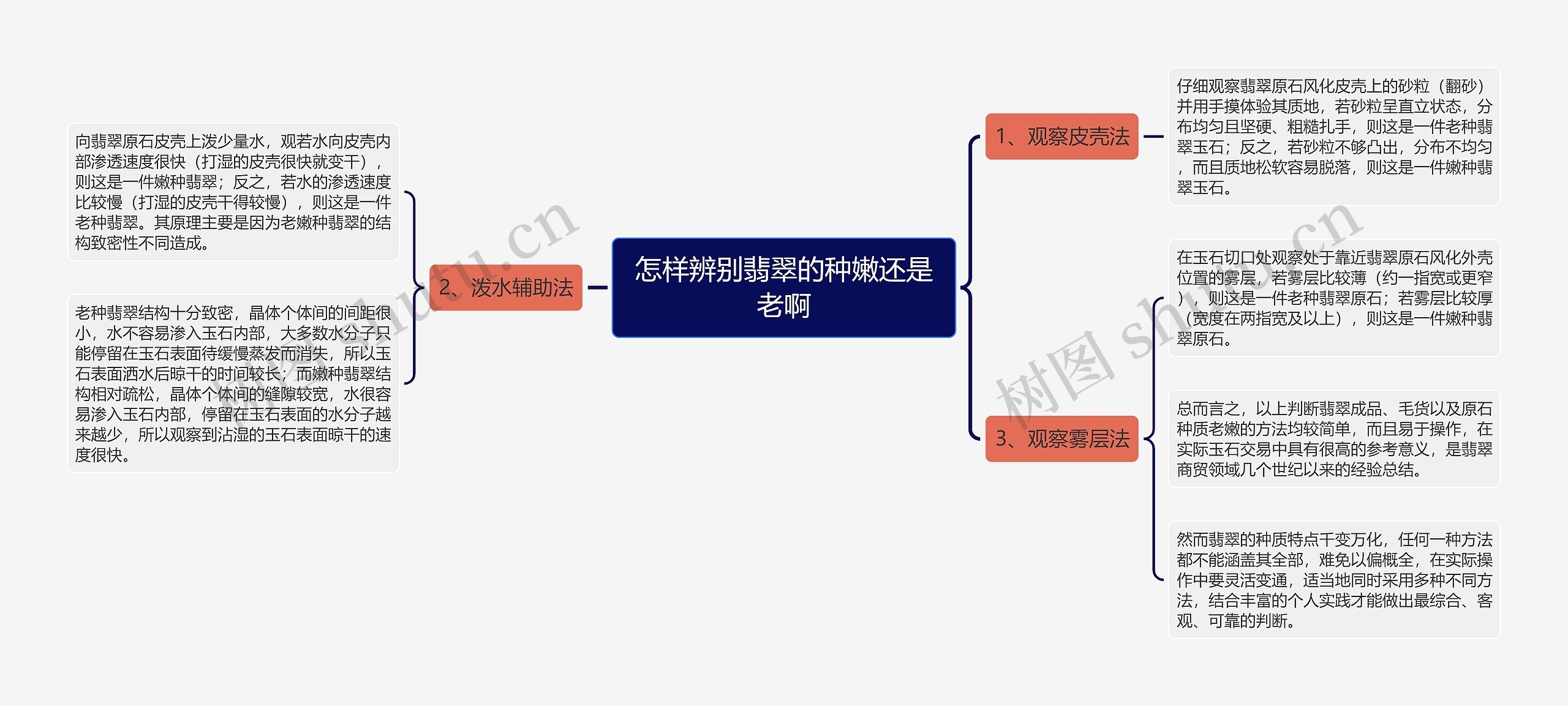 怎样辨别翡翠的种嫩还是老啊思维导图