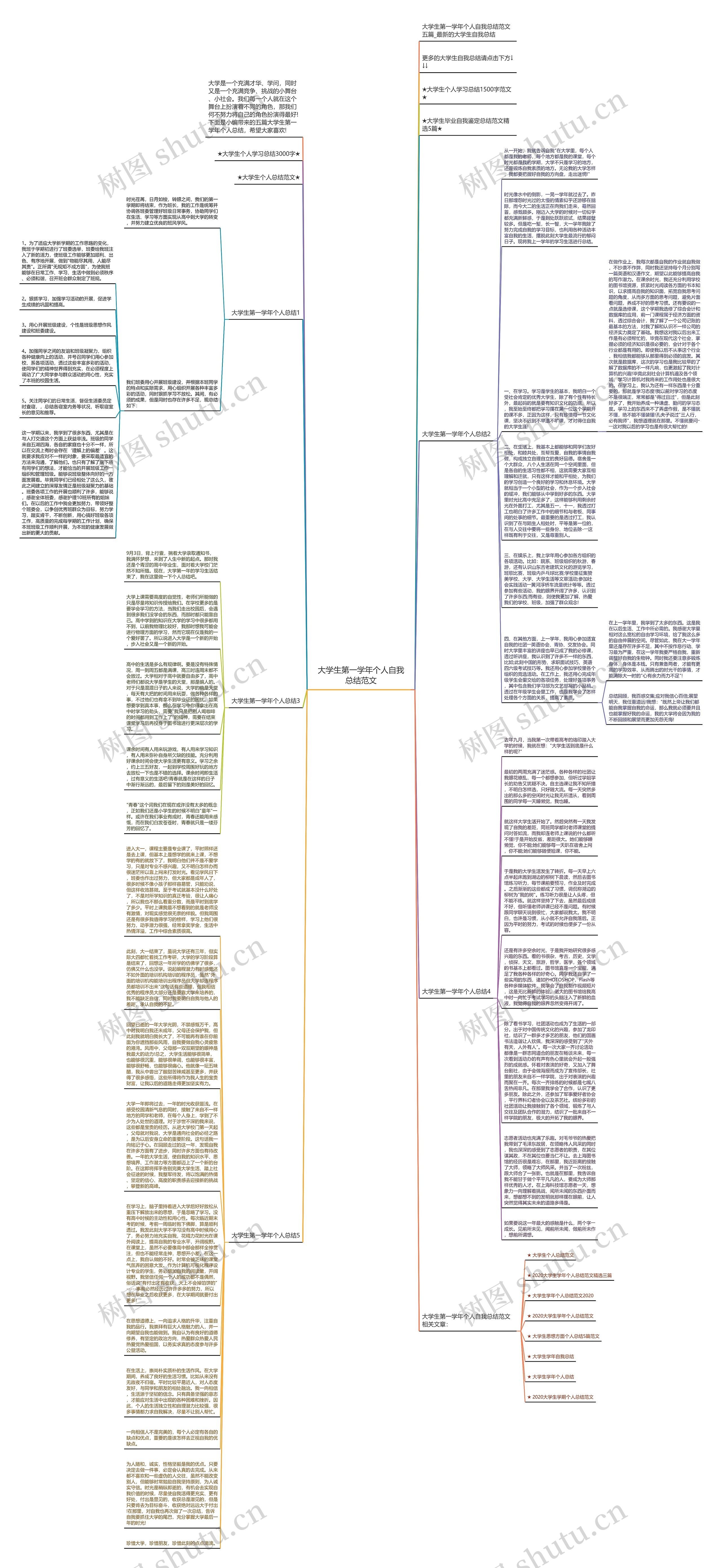大学生第一学年个人自我总结范文思维导图