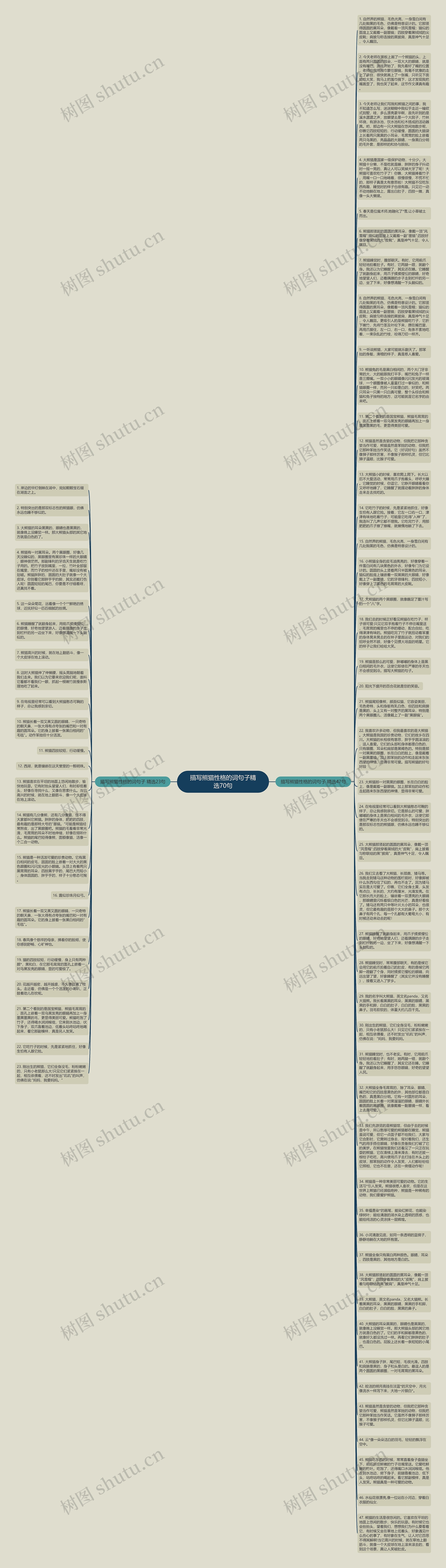 描写熊猫性格的词句子精选70句思维导图