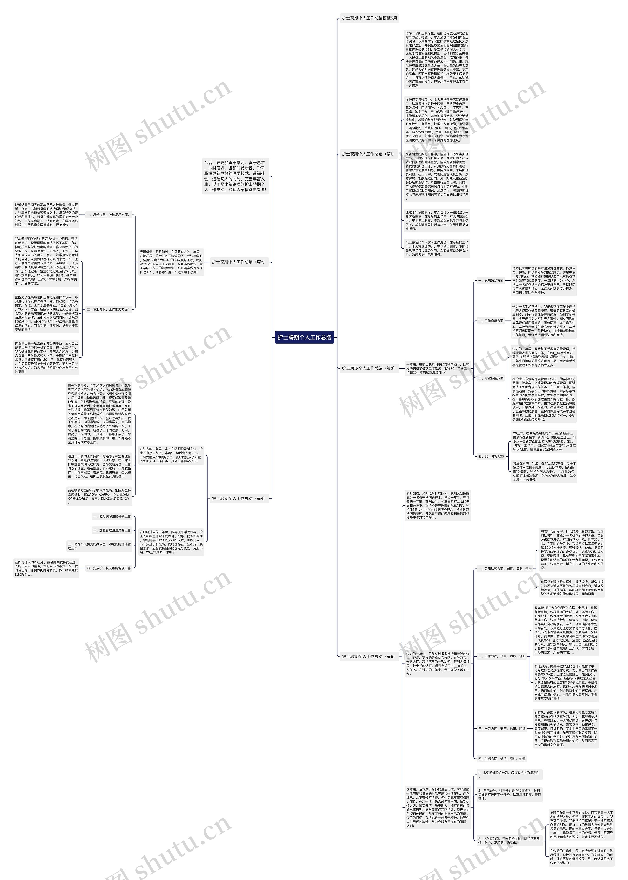 护士聘期个人工作总结思维导图