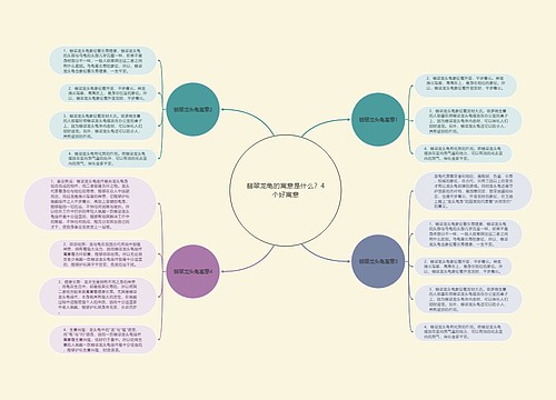 翡翠龙龟的寓意是什么？4个好寓意