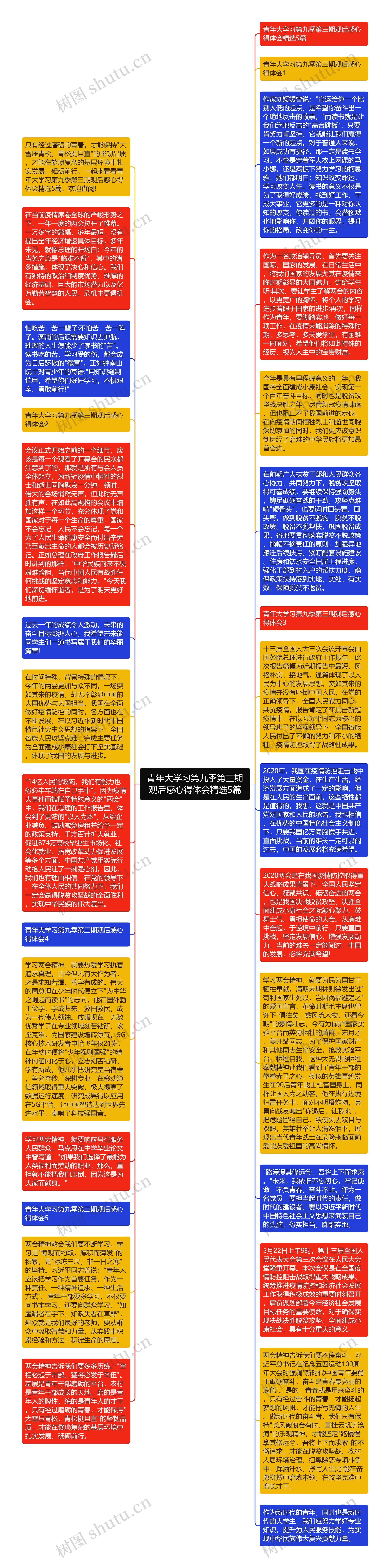 青年大学习第九季第三期观后感心得体会精选5篇