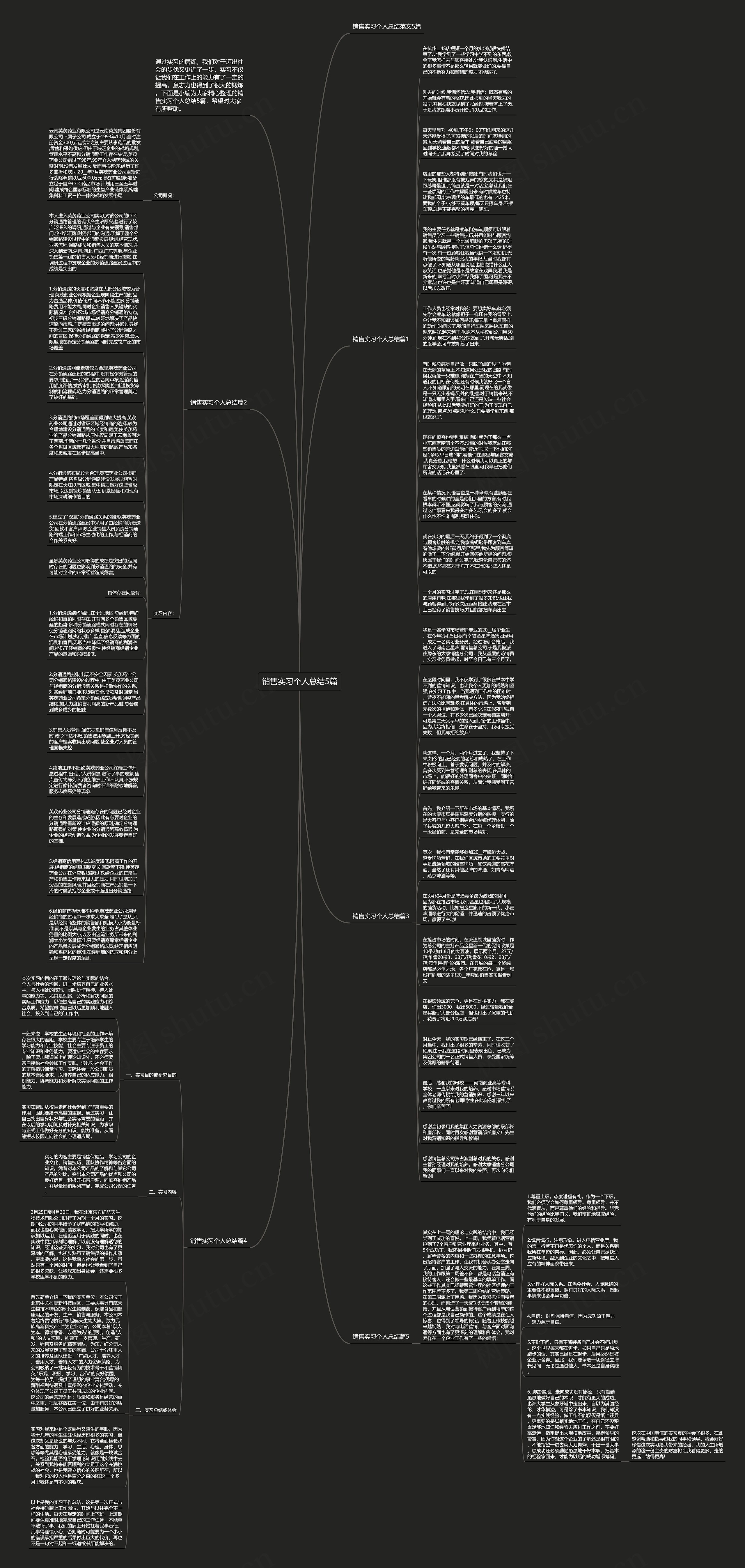 销售实习个人总结5篇思维导图
