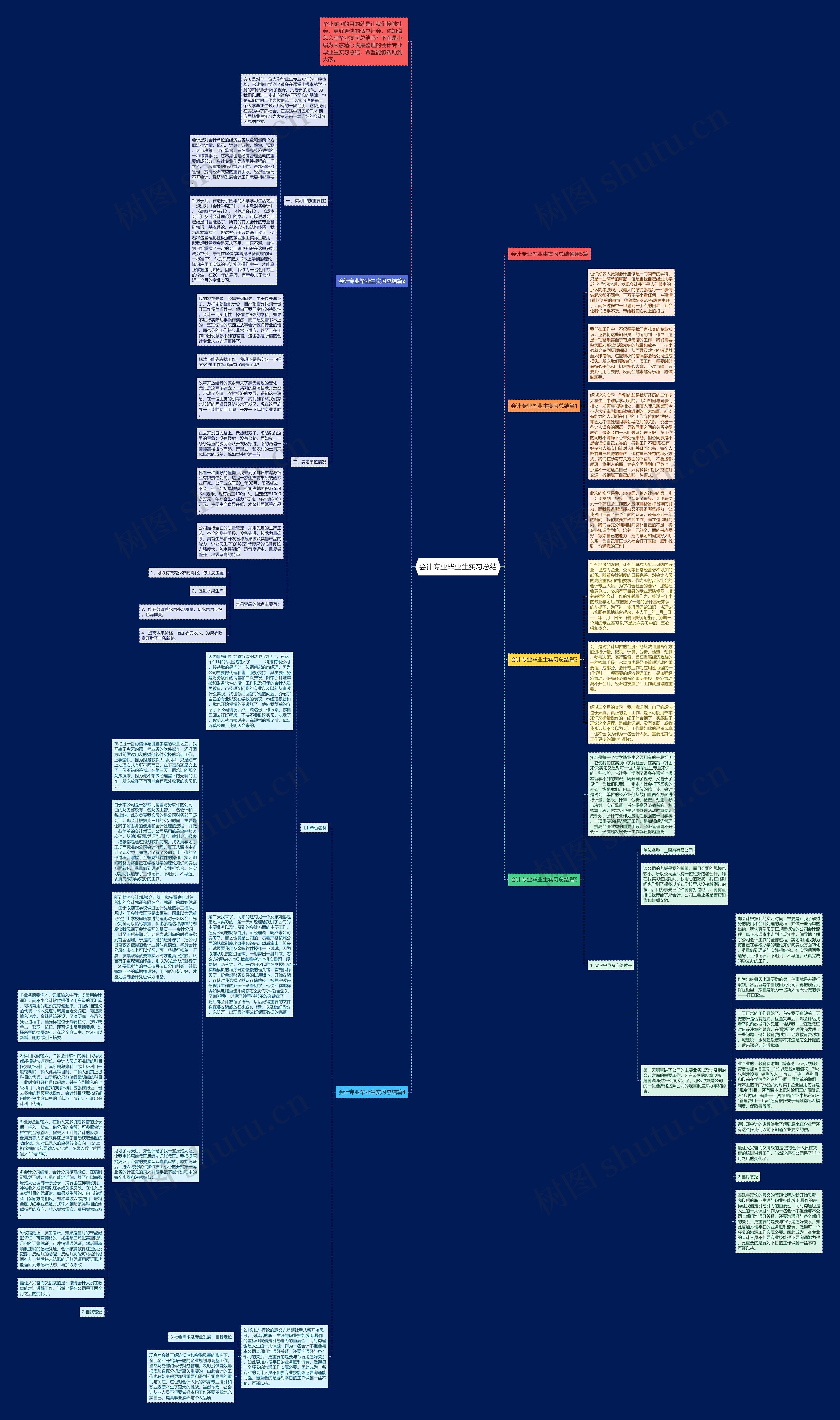 会计专业毕业生实习总结思维导图