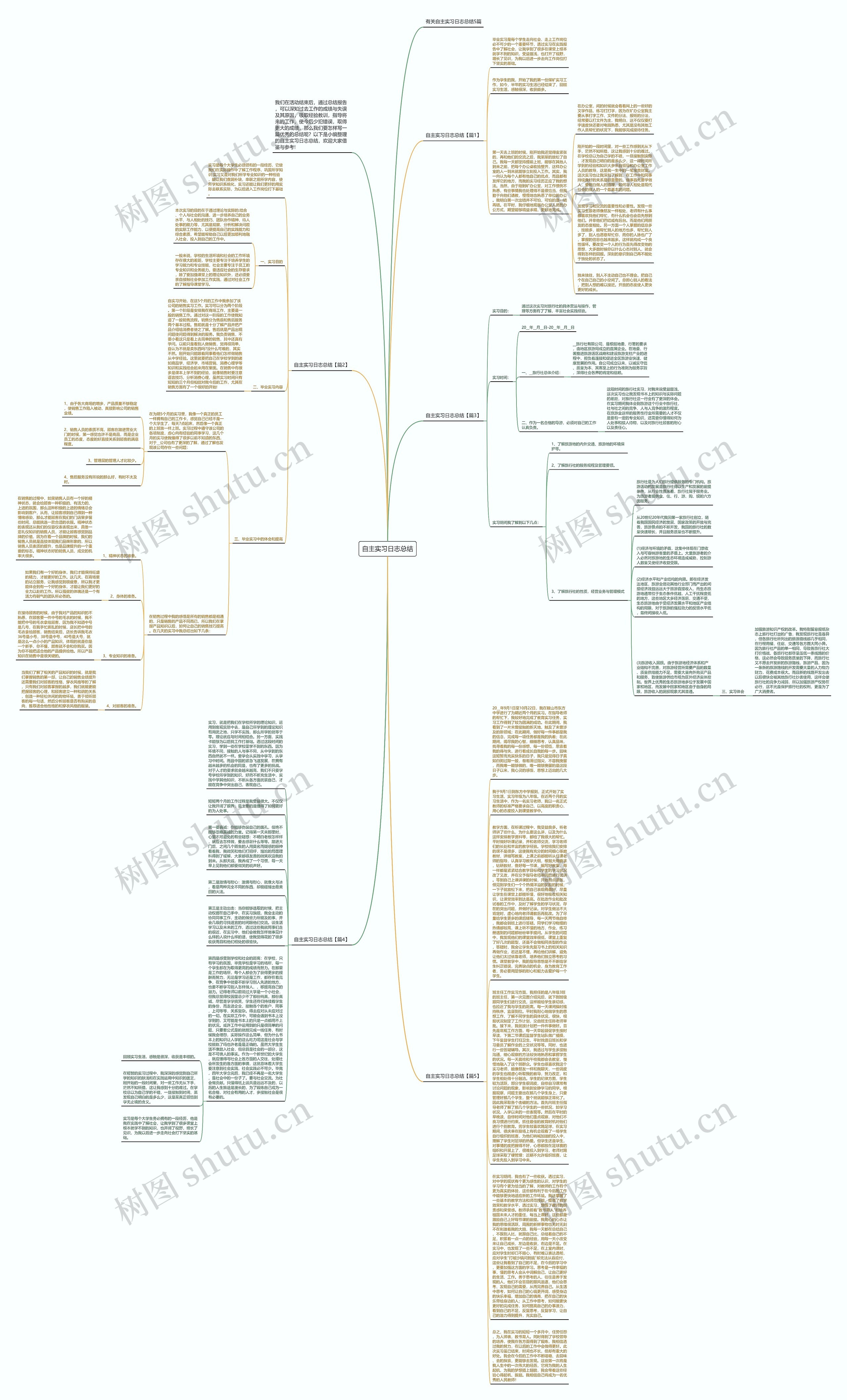 自主实习日志总结思维导图