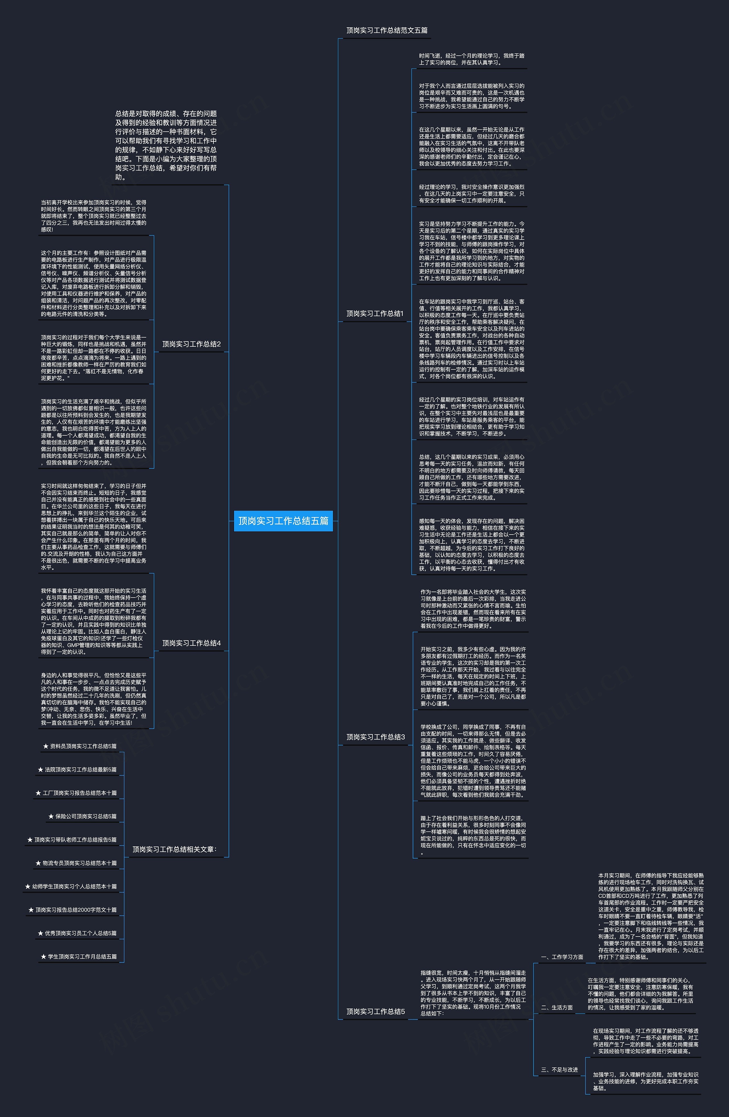 顶岗实习工作总结五篇思维导图