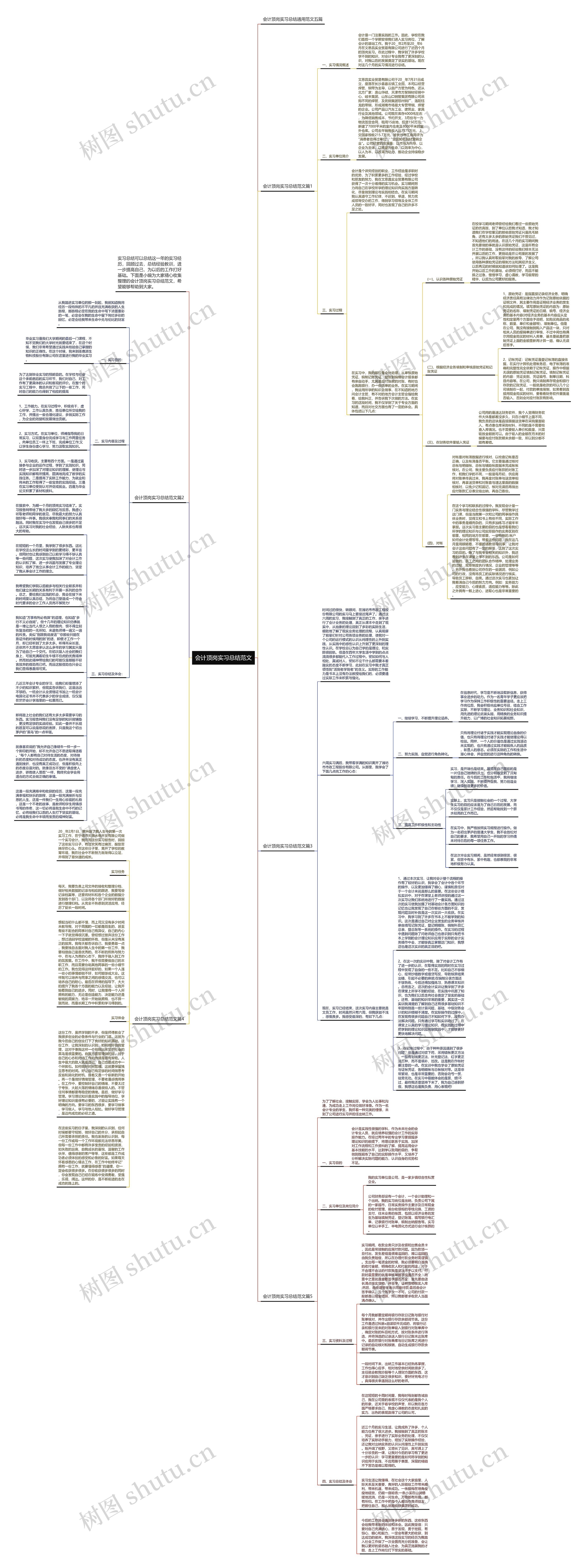 会计顶岗实习总结范文思维导图