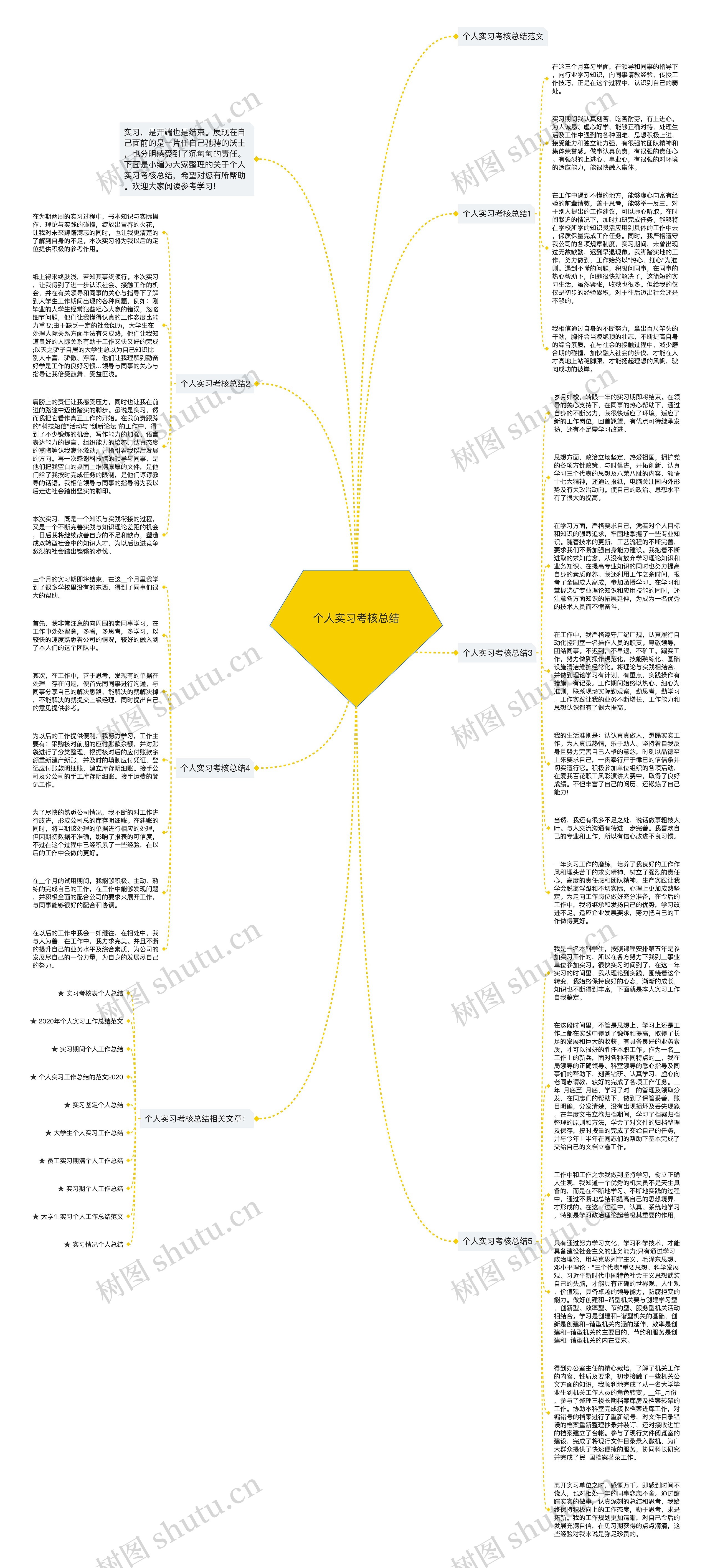 个人实习考核总结思维导图