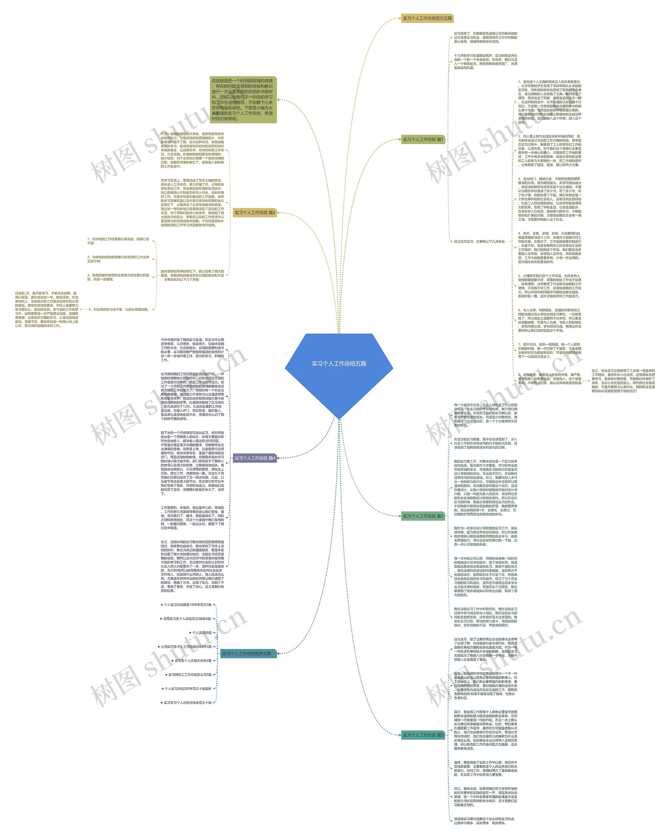 实习个人工作总结五篇思维导图