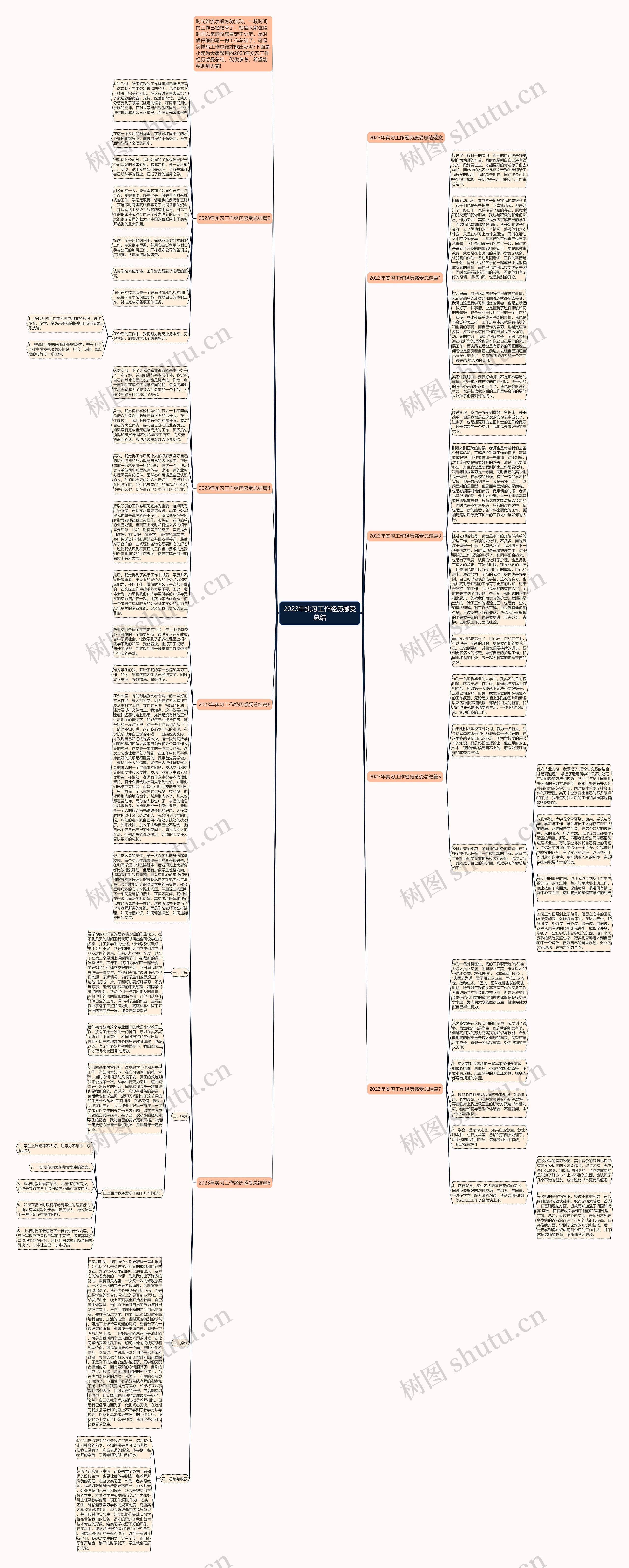 2023年实习工作经历感受总结思维导图