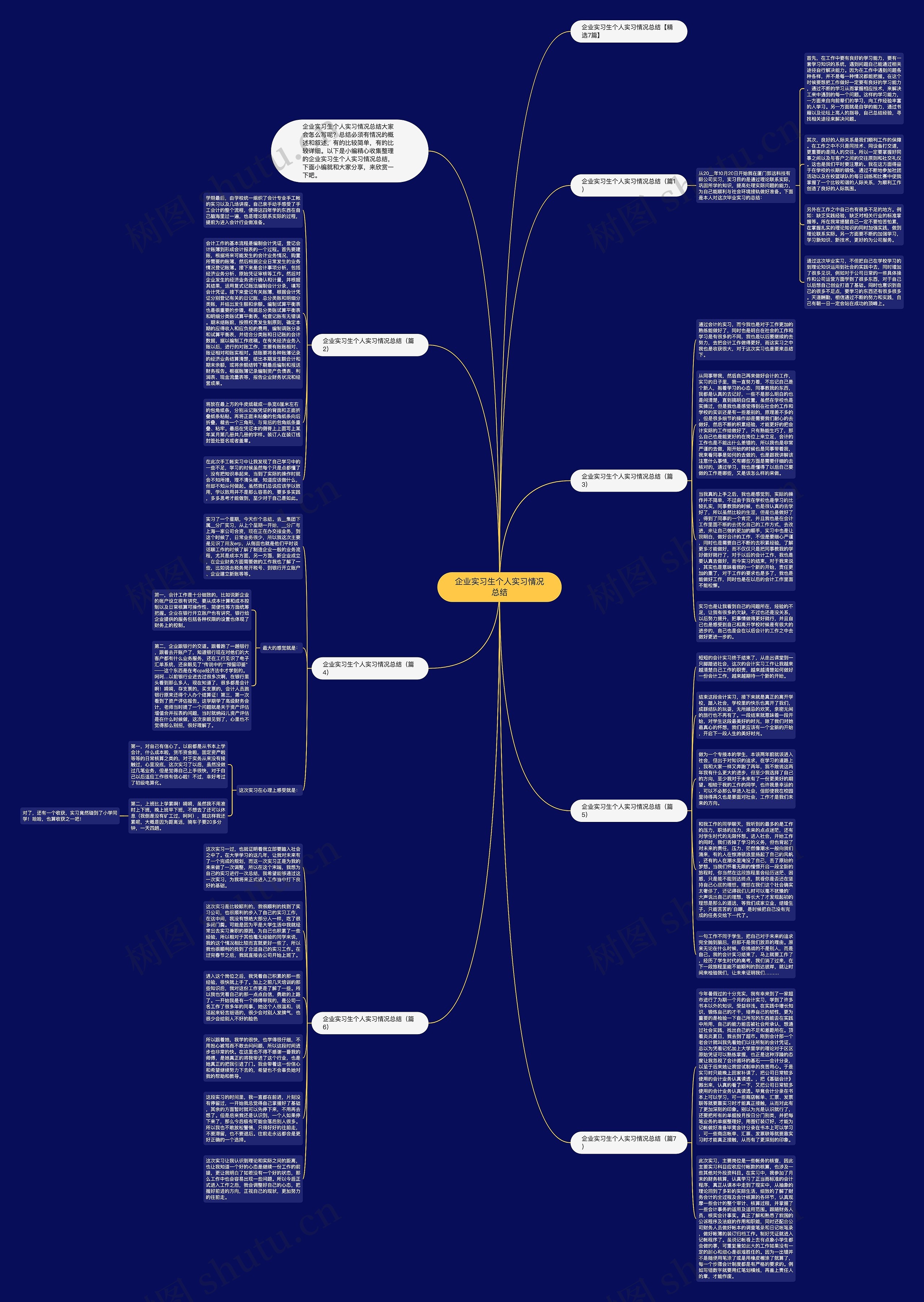 企业实习生个人实习情况总结思维导图高清图 企业实习生个人实习情况总结思维导图